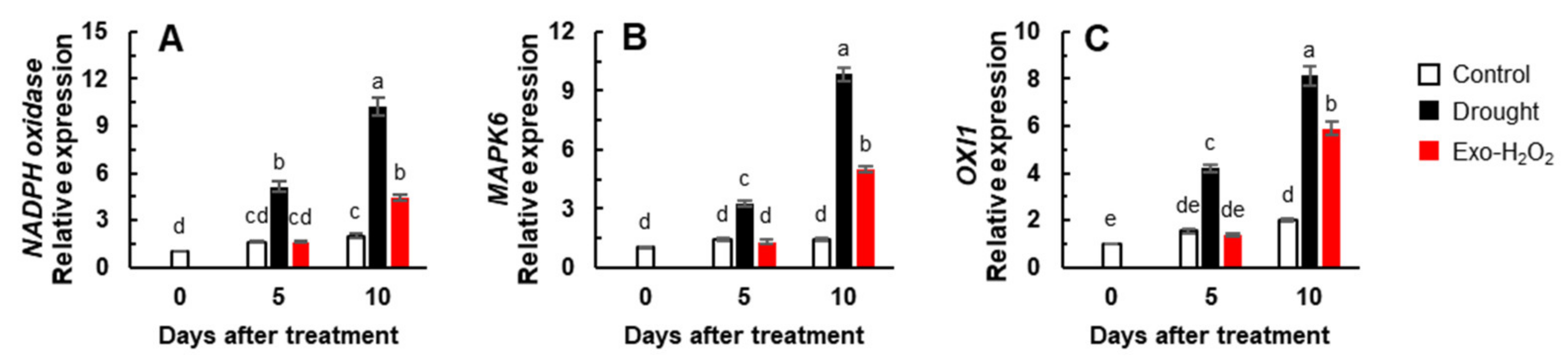 Antioxidants 11 00566 g003