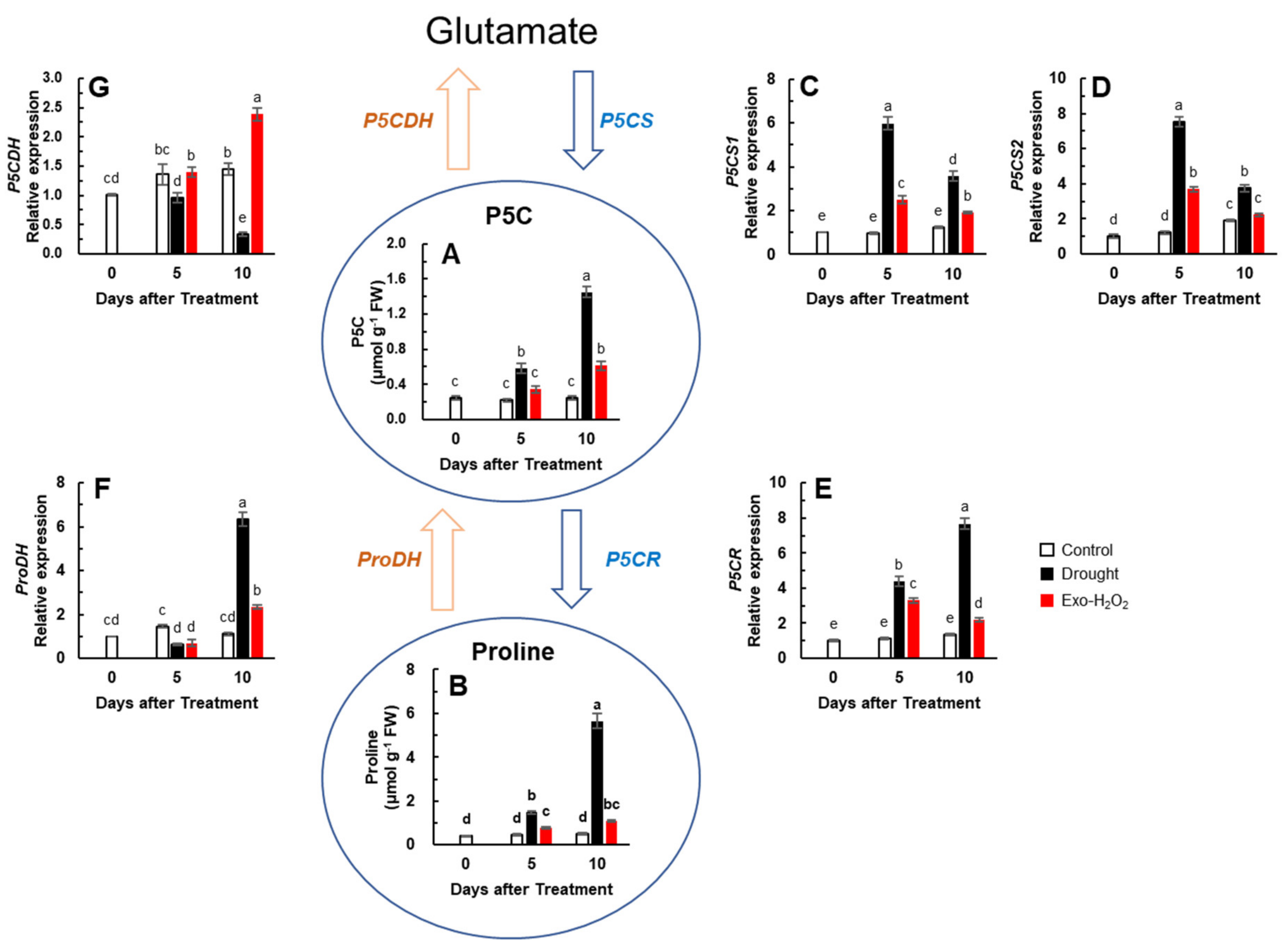 Antioxidants 11 00566 g004