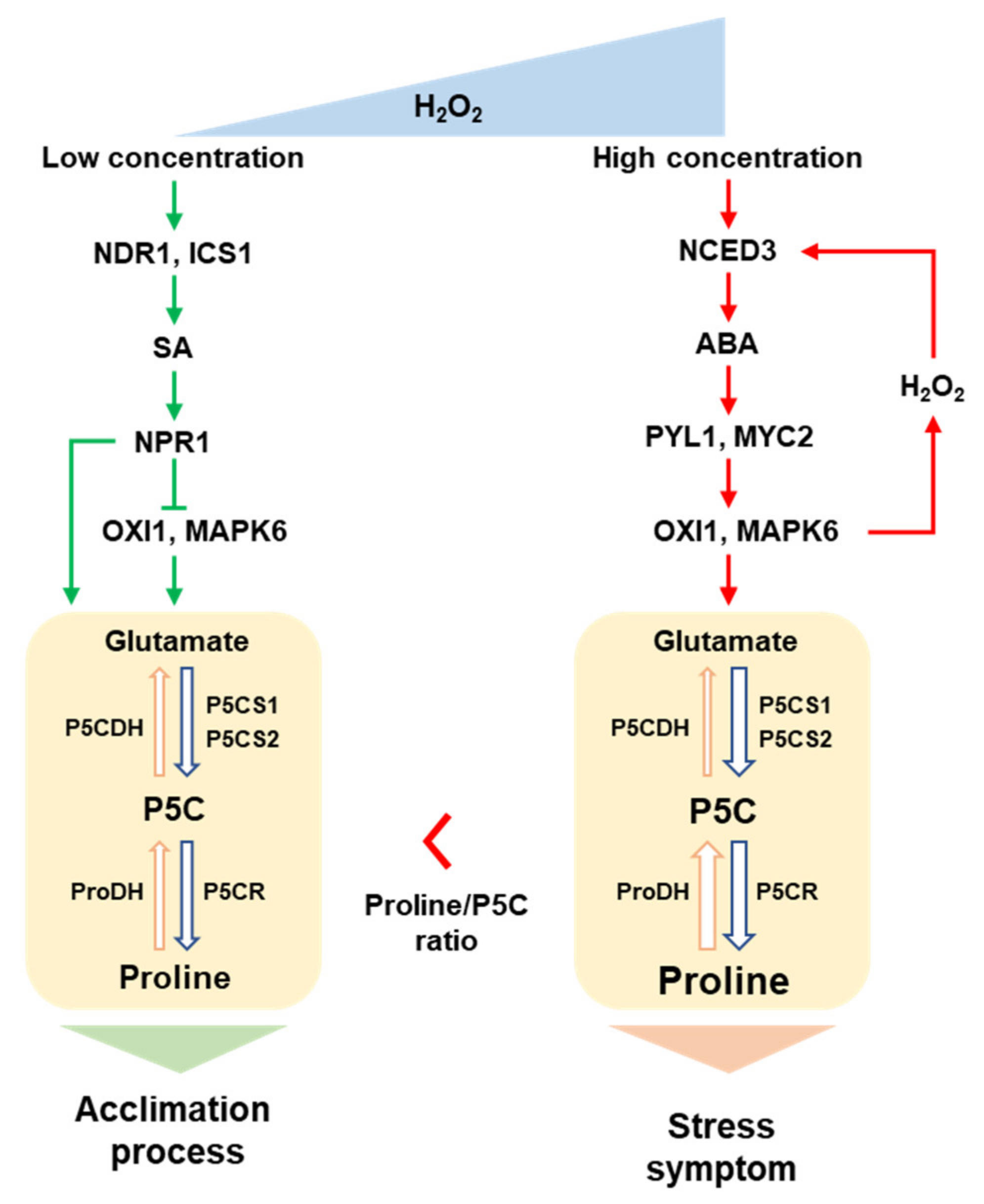 Antioxidants 11 00566 g006