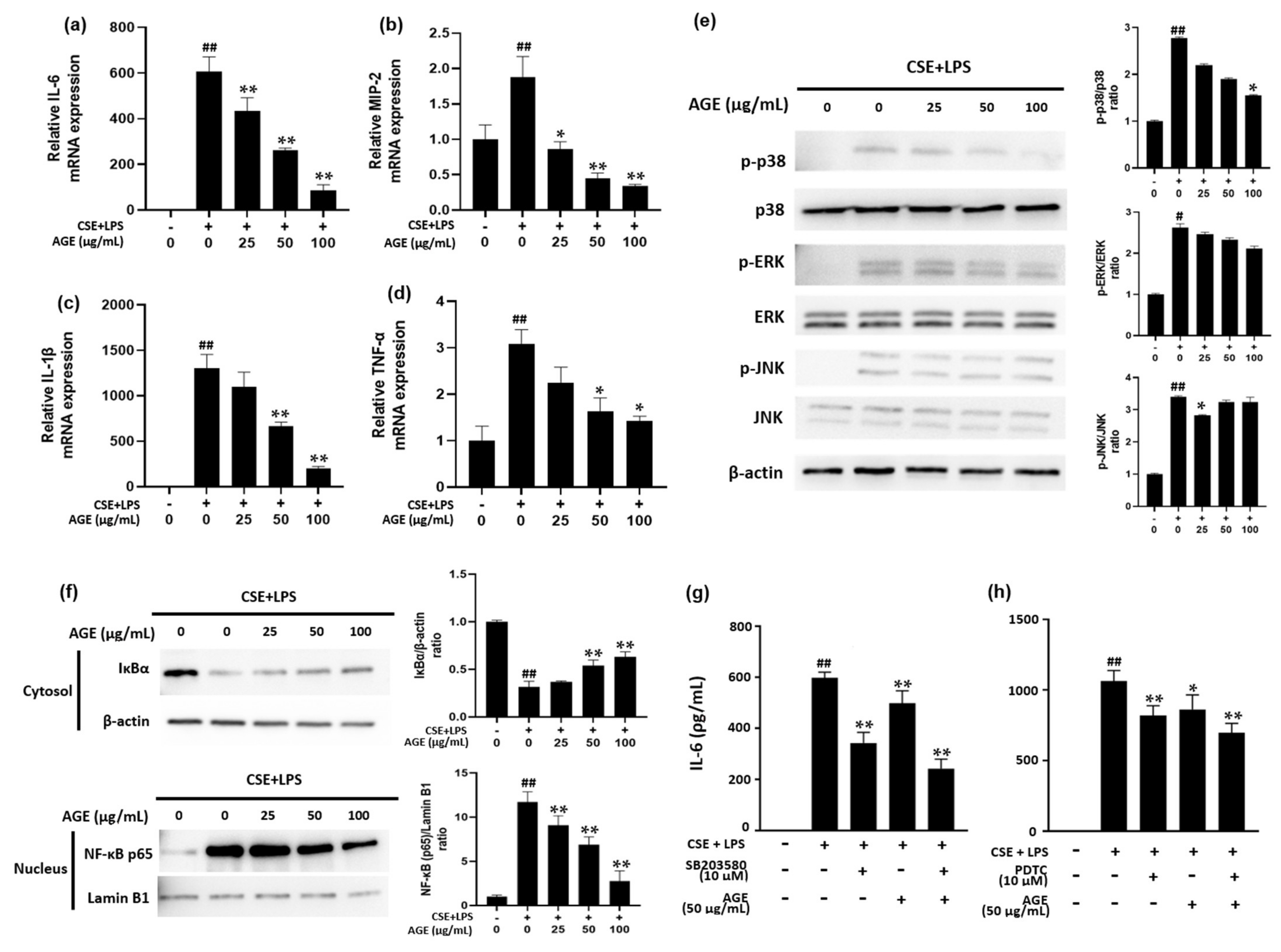 Antioxidants 11 00568 g002