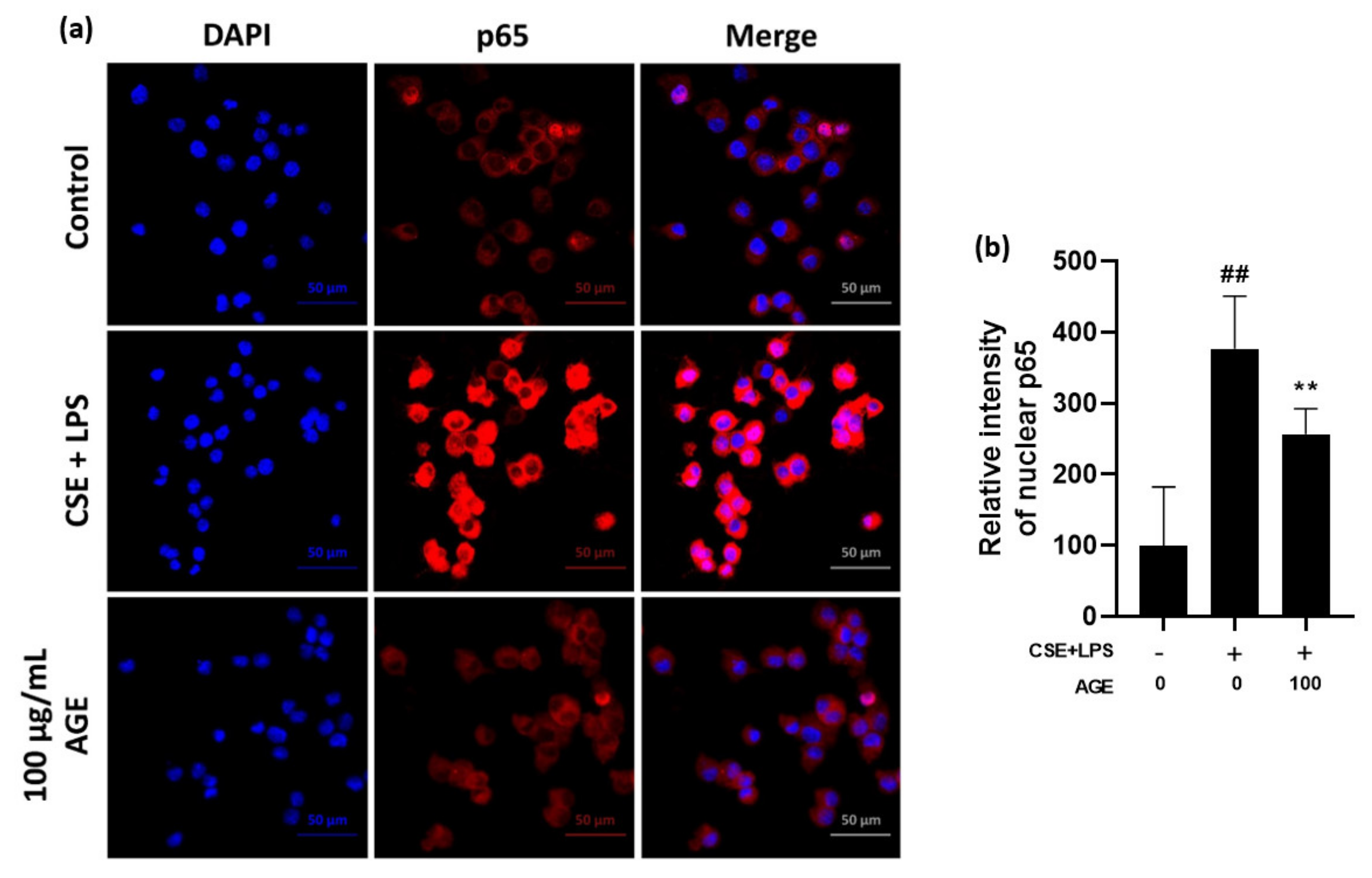 Antioxidants 11 00568 g003