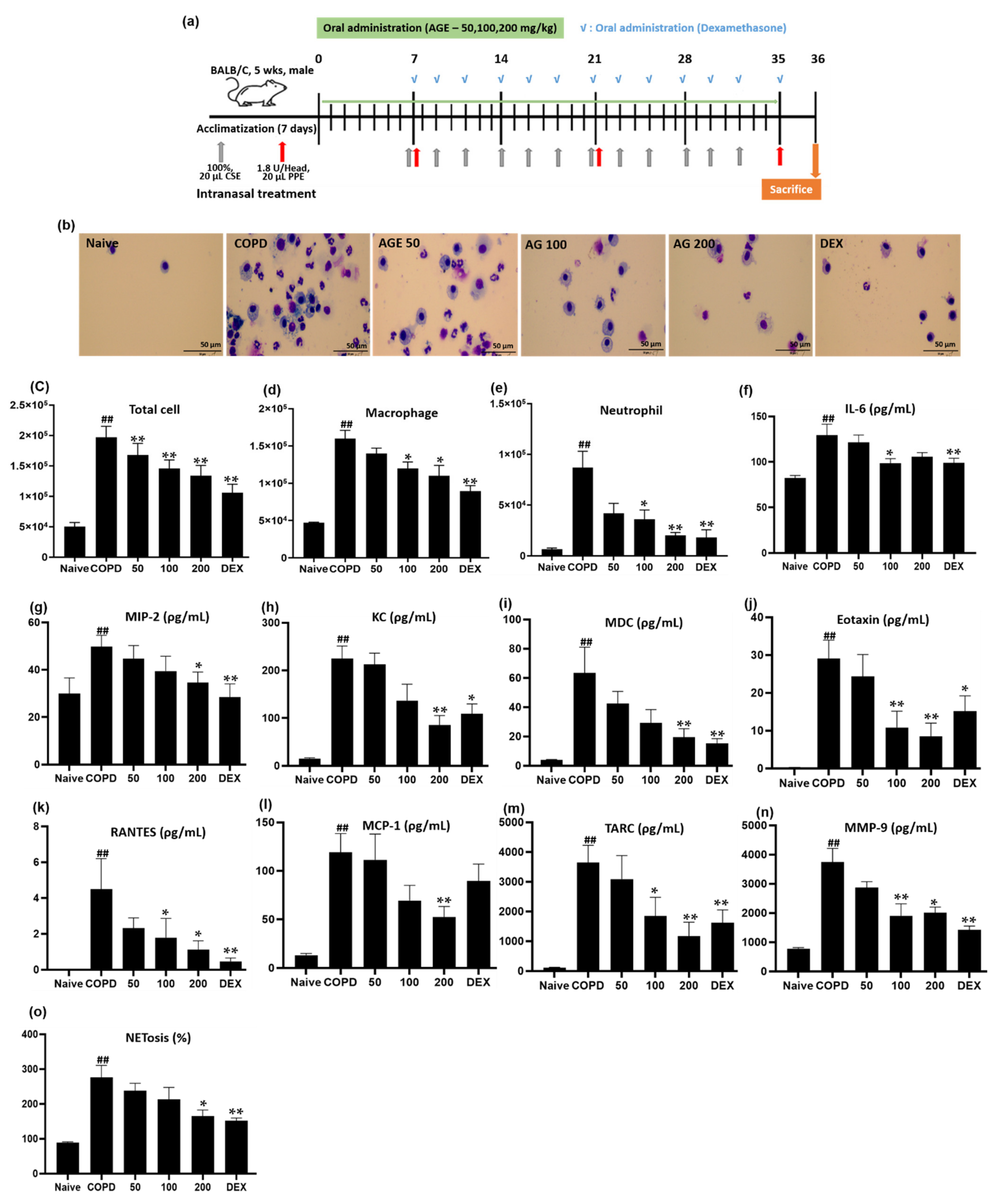 Antioxidants 11 00568 g004