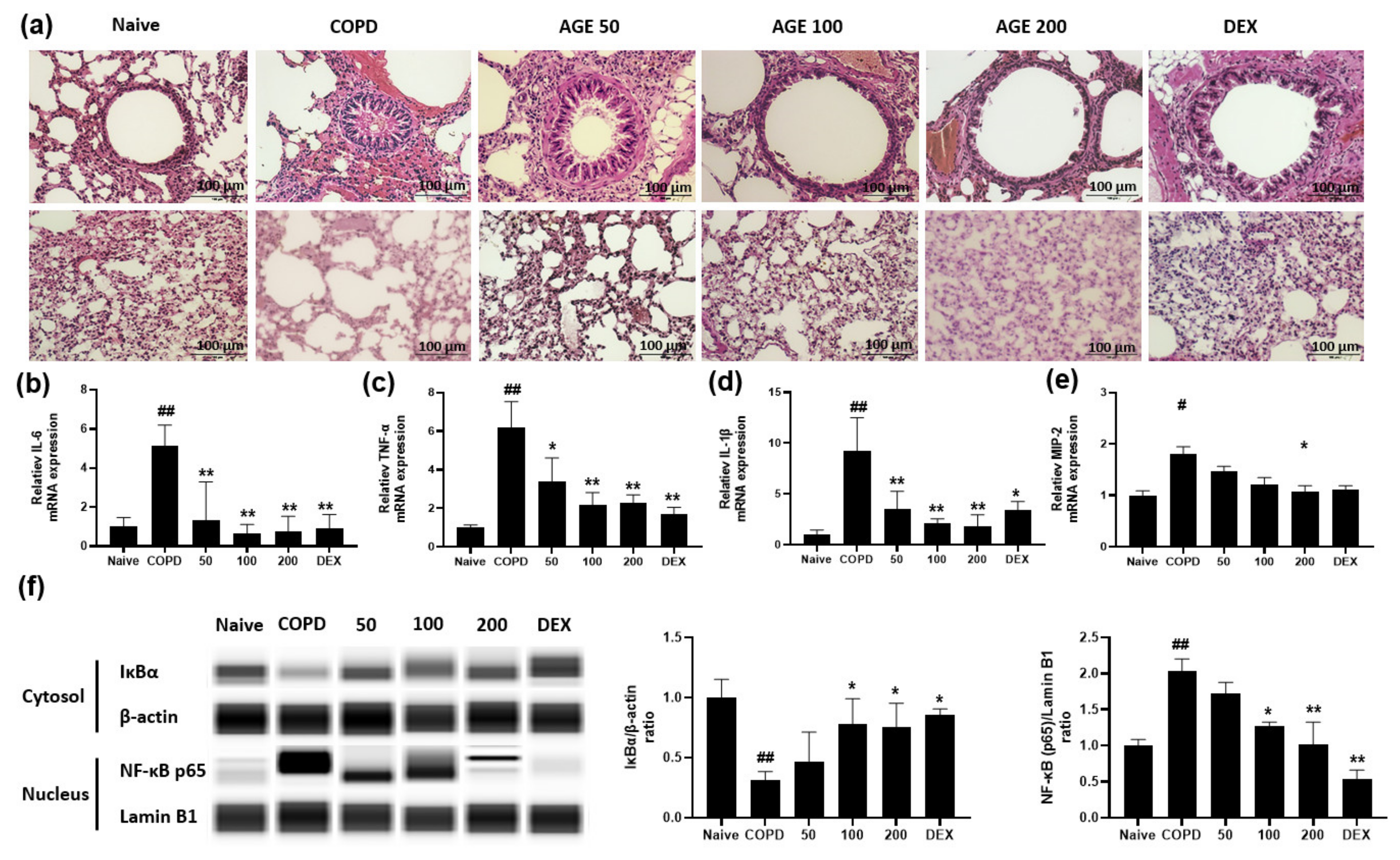 Antioxidants 11 00568 g005