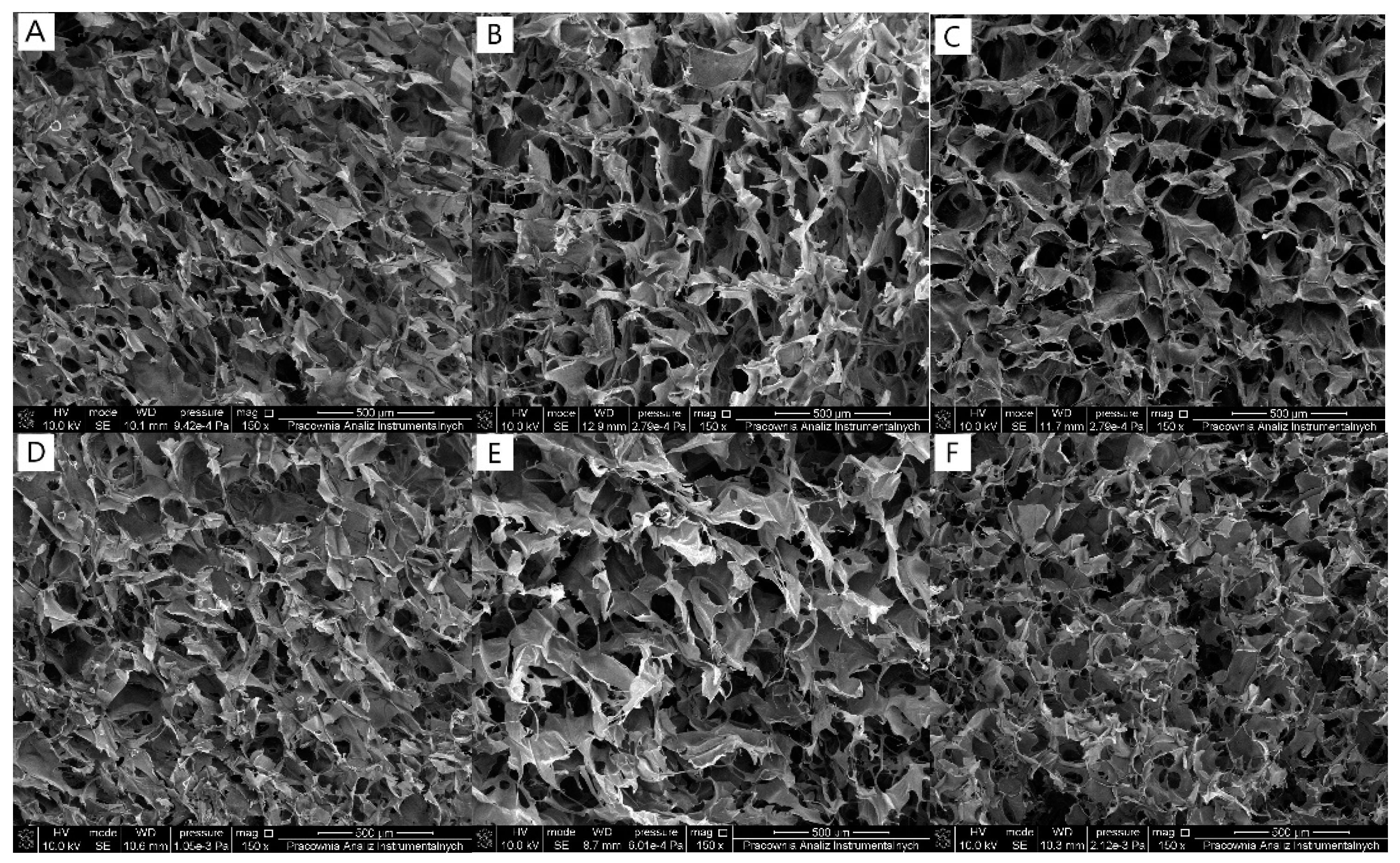 Antioxidants 11 00570 g001
