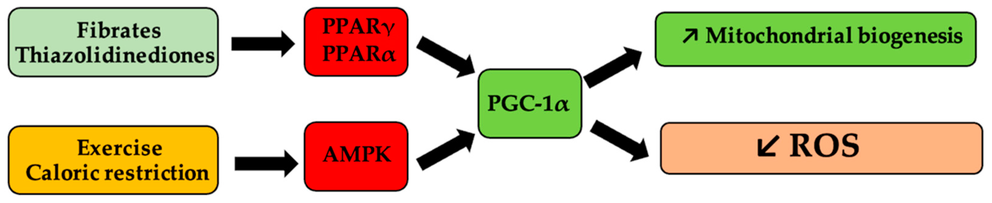Antioxidants 11 00572 g002