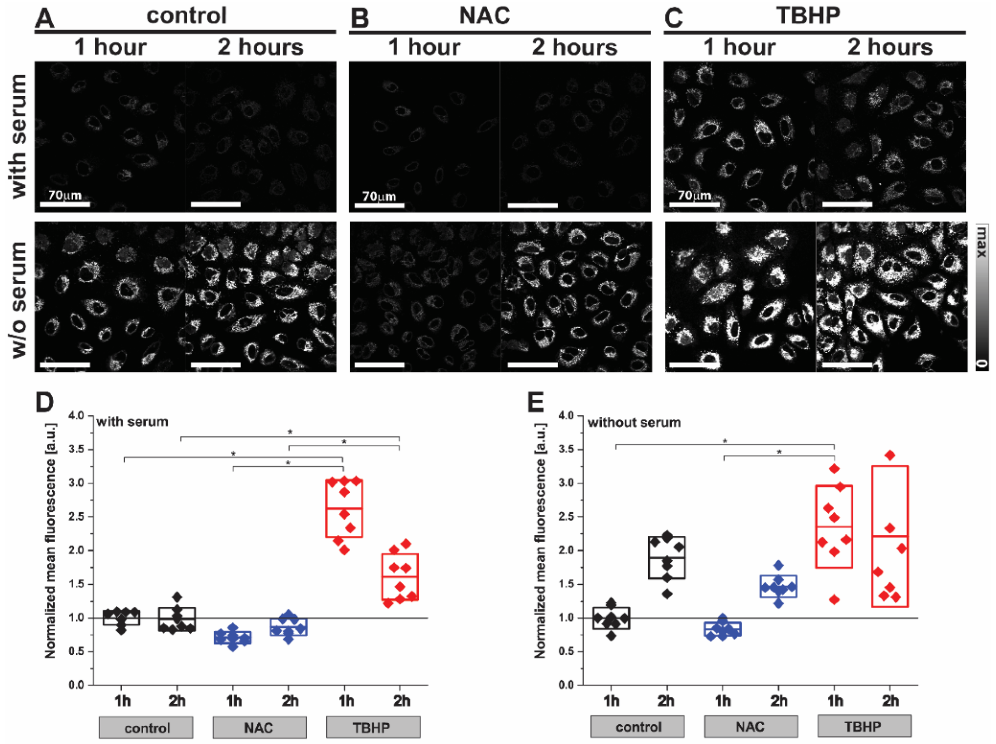 Antioxidants 11 00573 g001