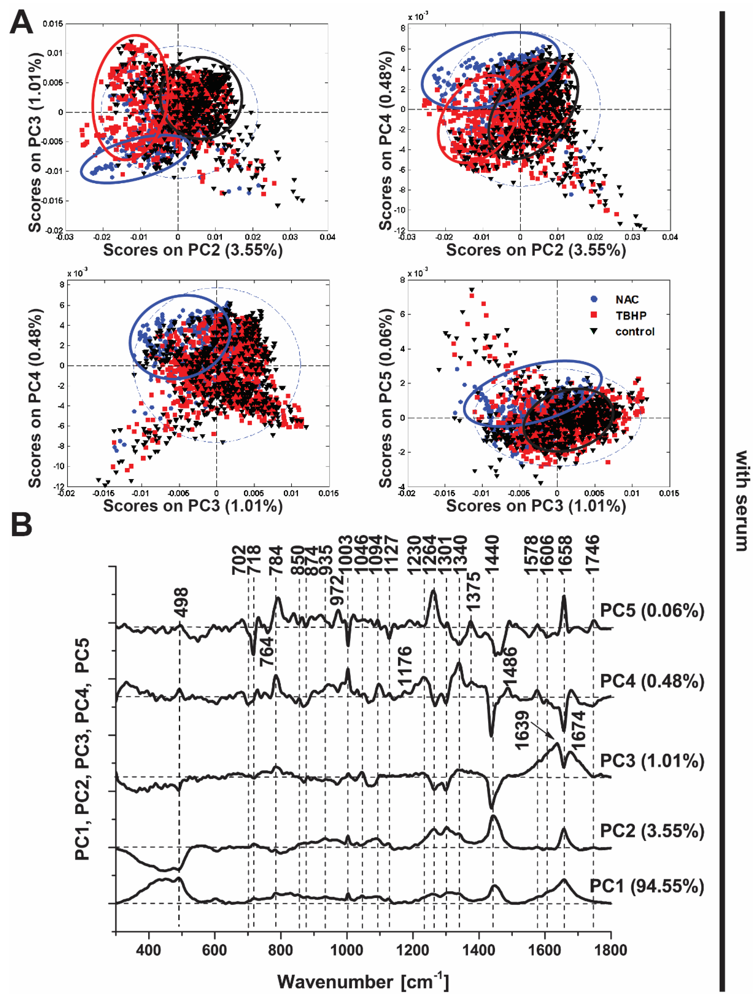 Antioxidants 11 00573 g004