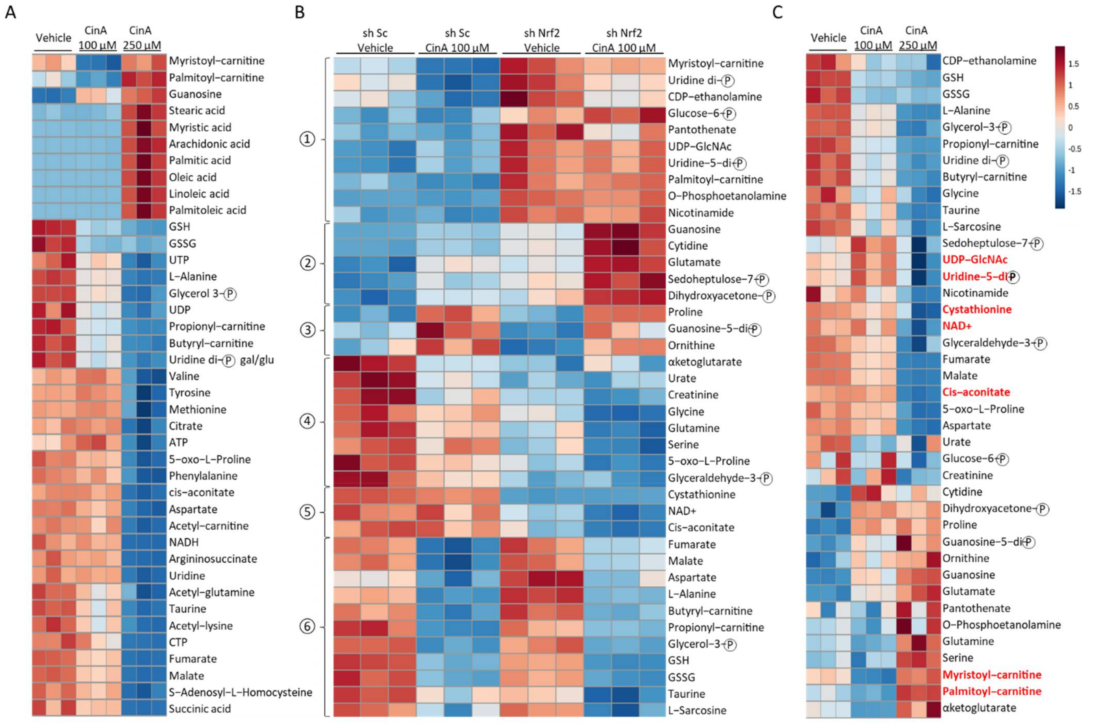 Antioxidants 11 00575 g005