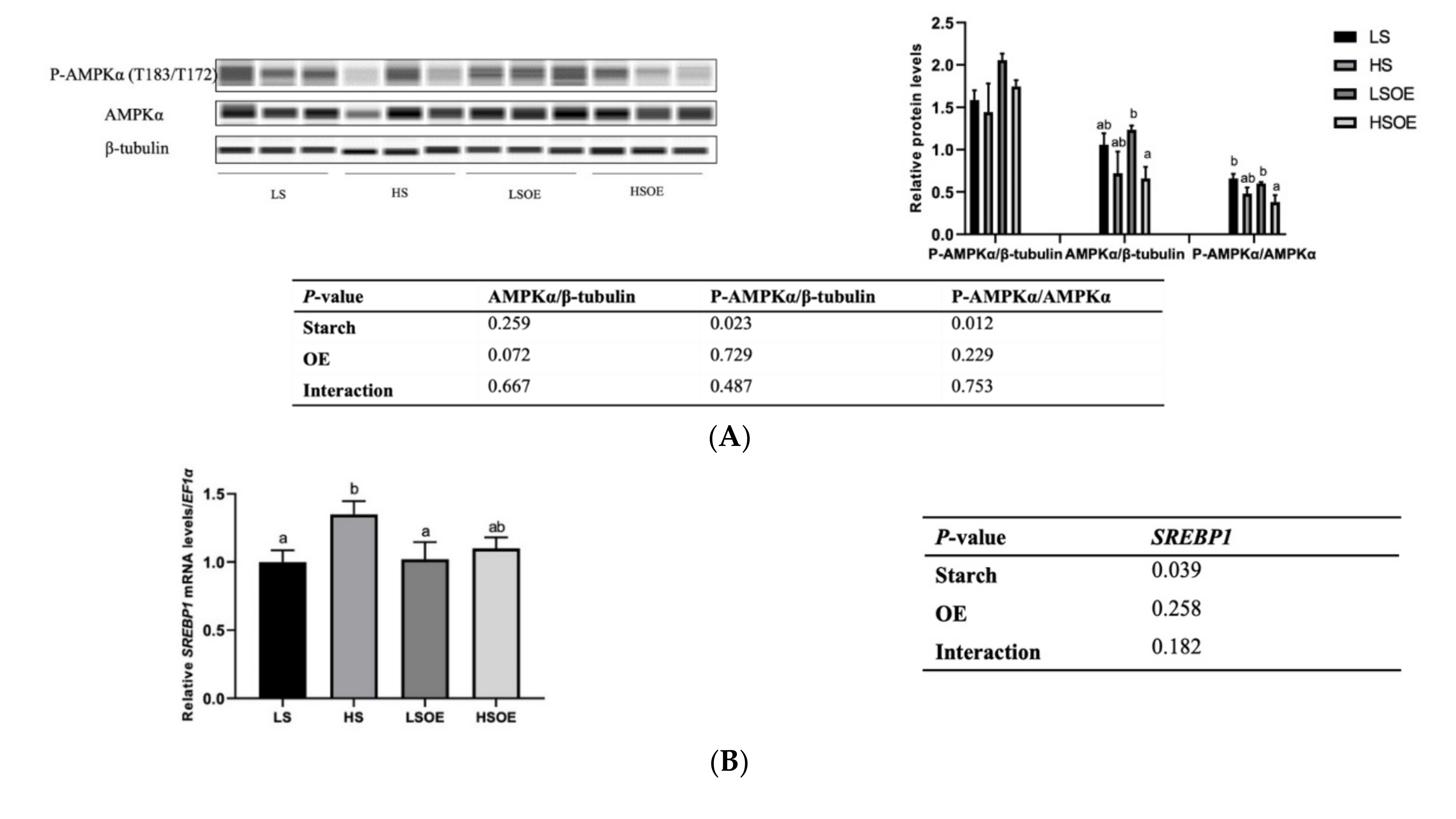 Antioxidants 11 00577 g003a
