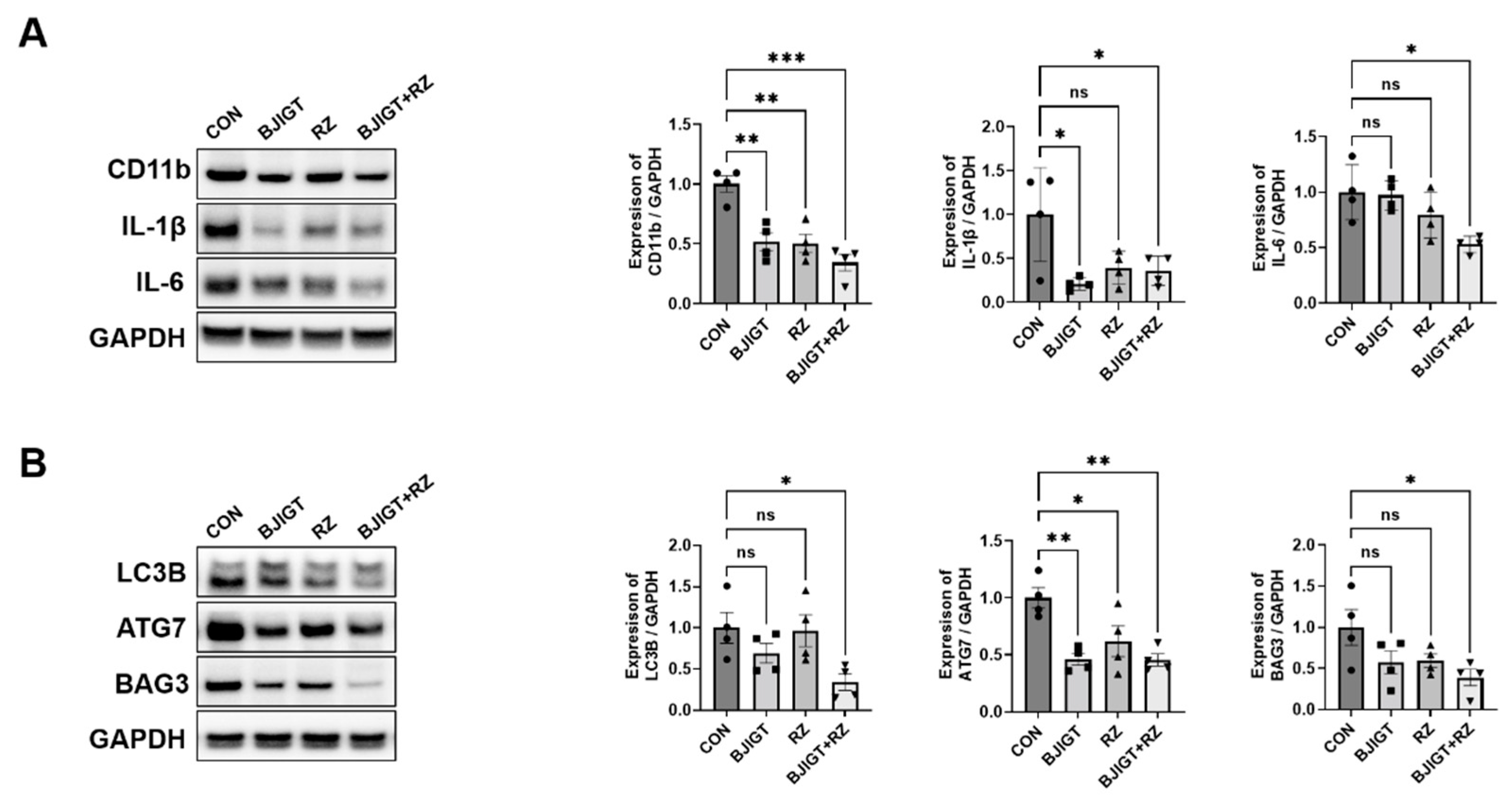 Antioxidants 11 00579 g001