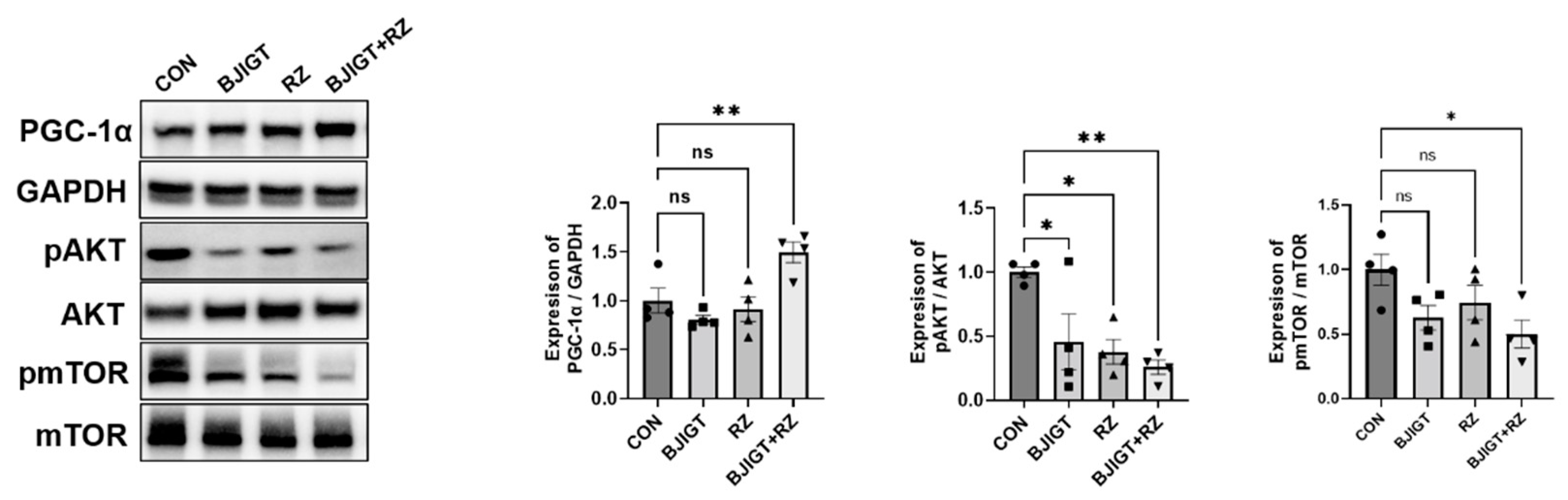 Antioxidants 11 00579 g002