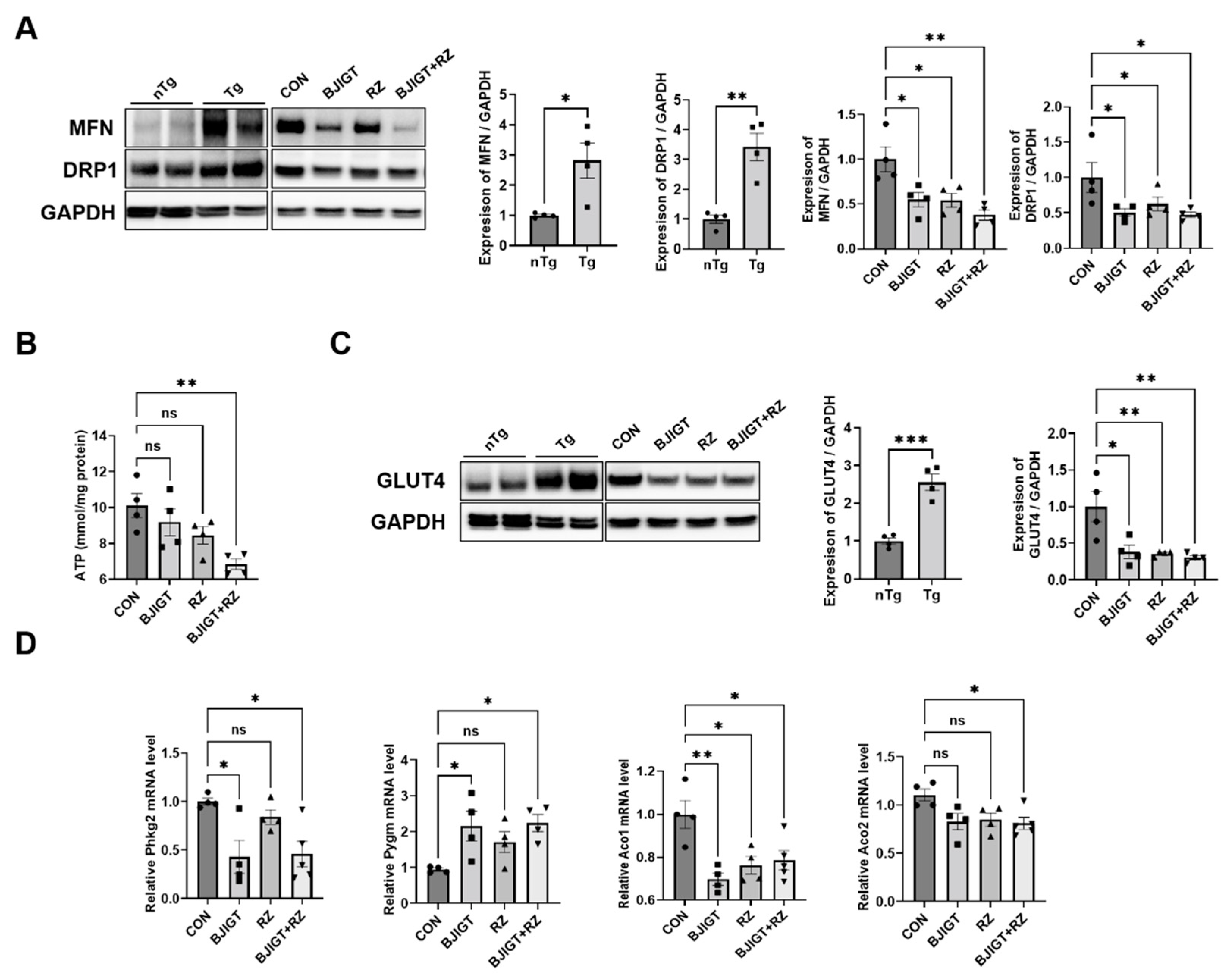 Antioxidants 11 00579 g003
