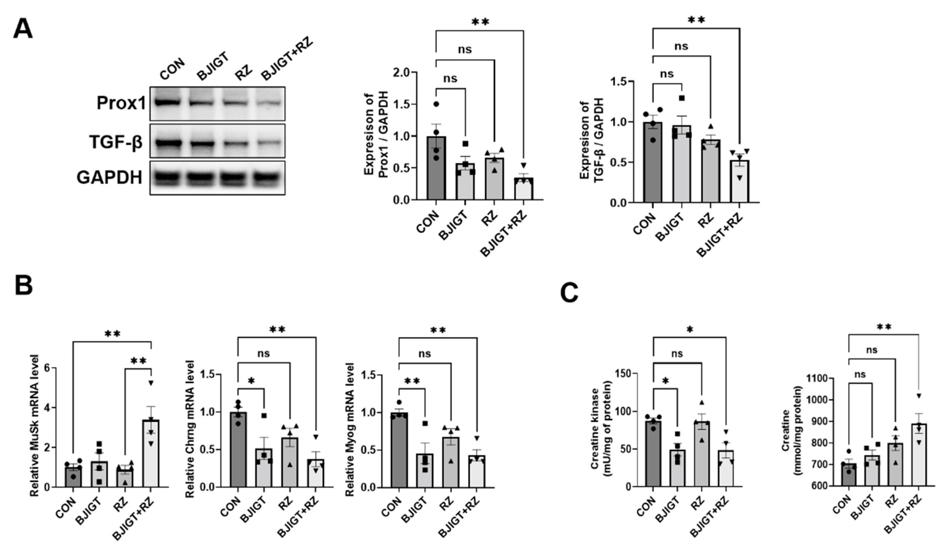Antioxidants 11 00579 g004