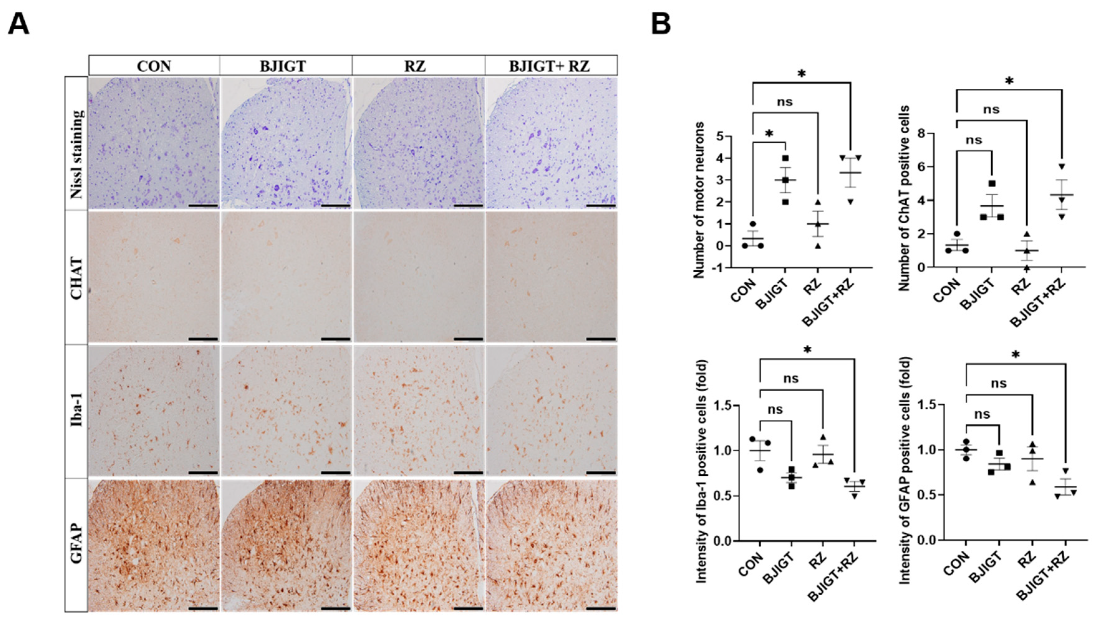 Antioxidants 11 00579 g005a