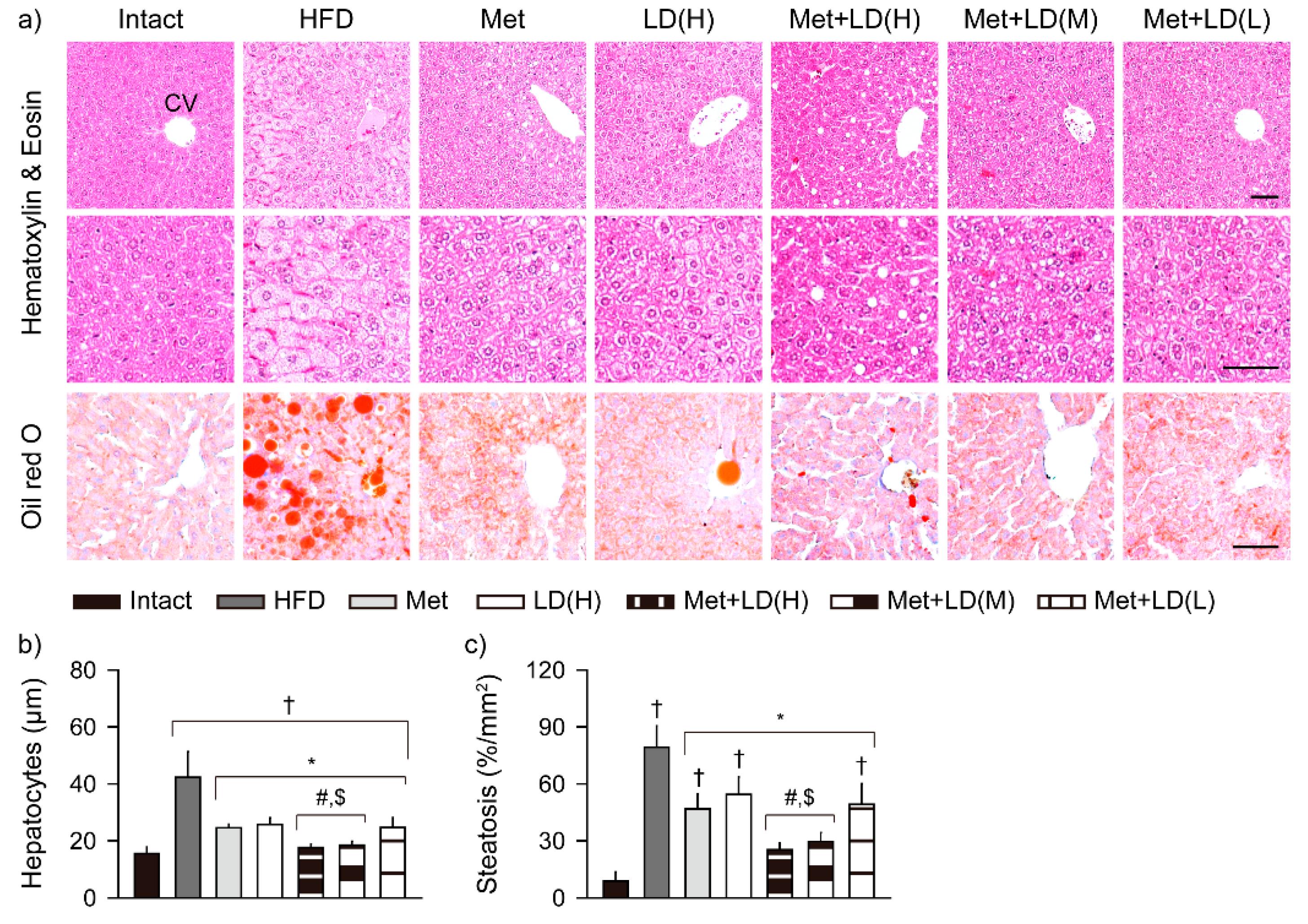 Antioxidants 11 00580 g007