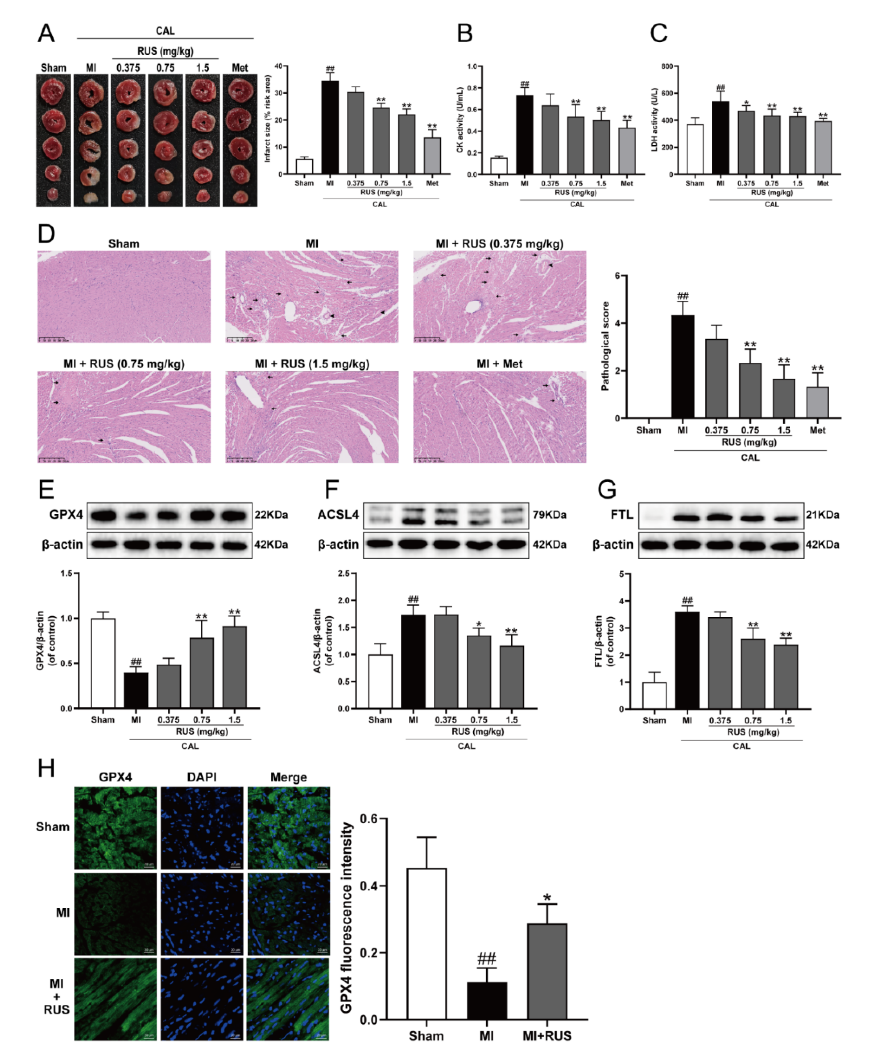 Antioxidants 11 00583 g001