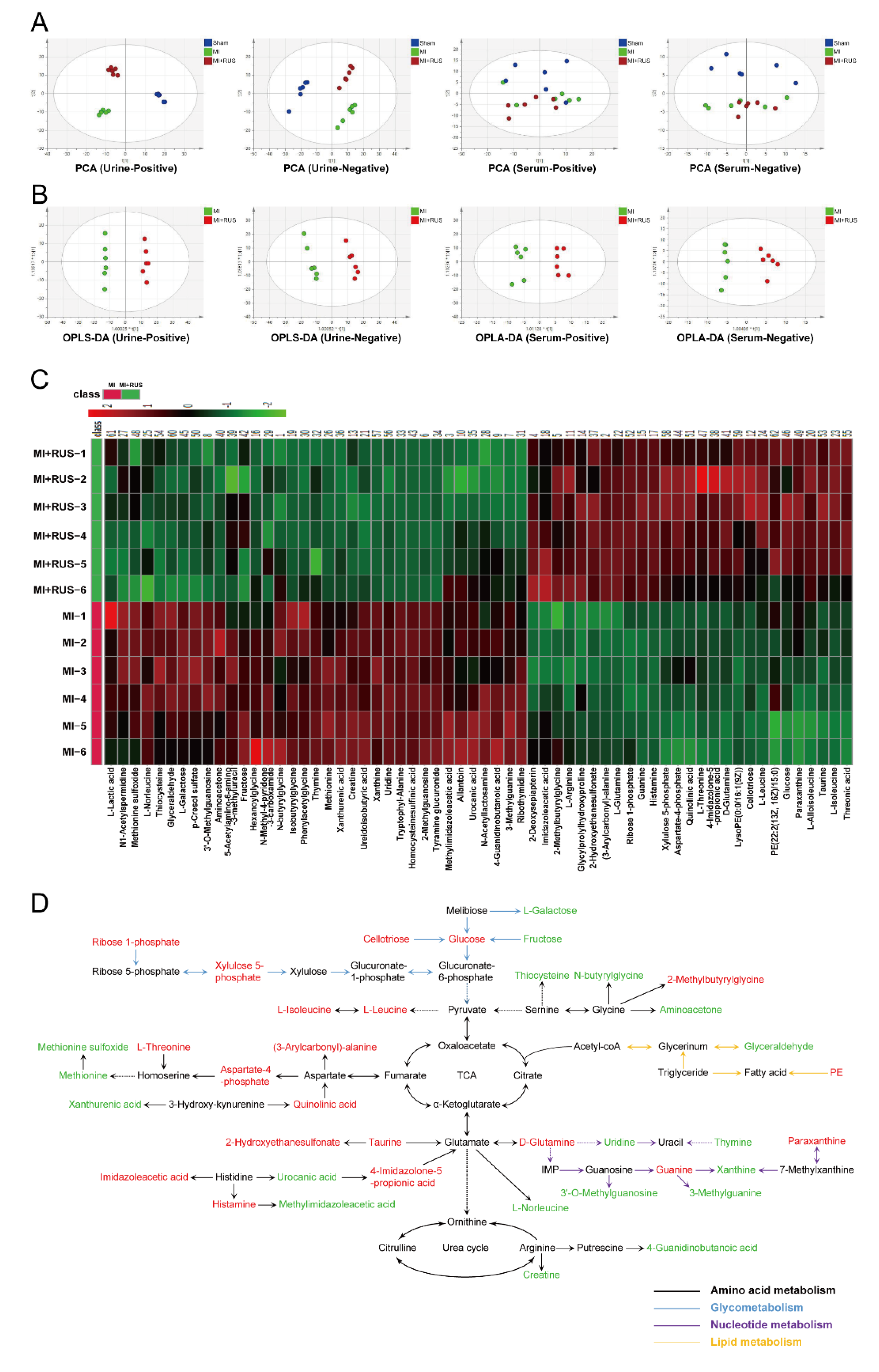 Antioxidants 11 00583 g003