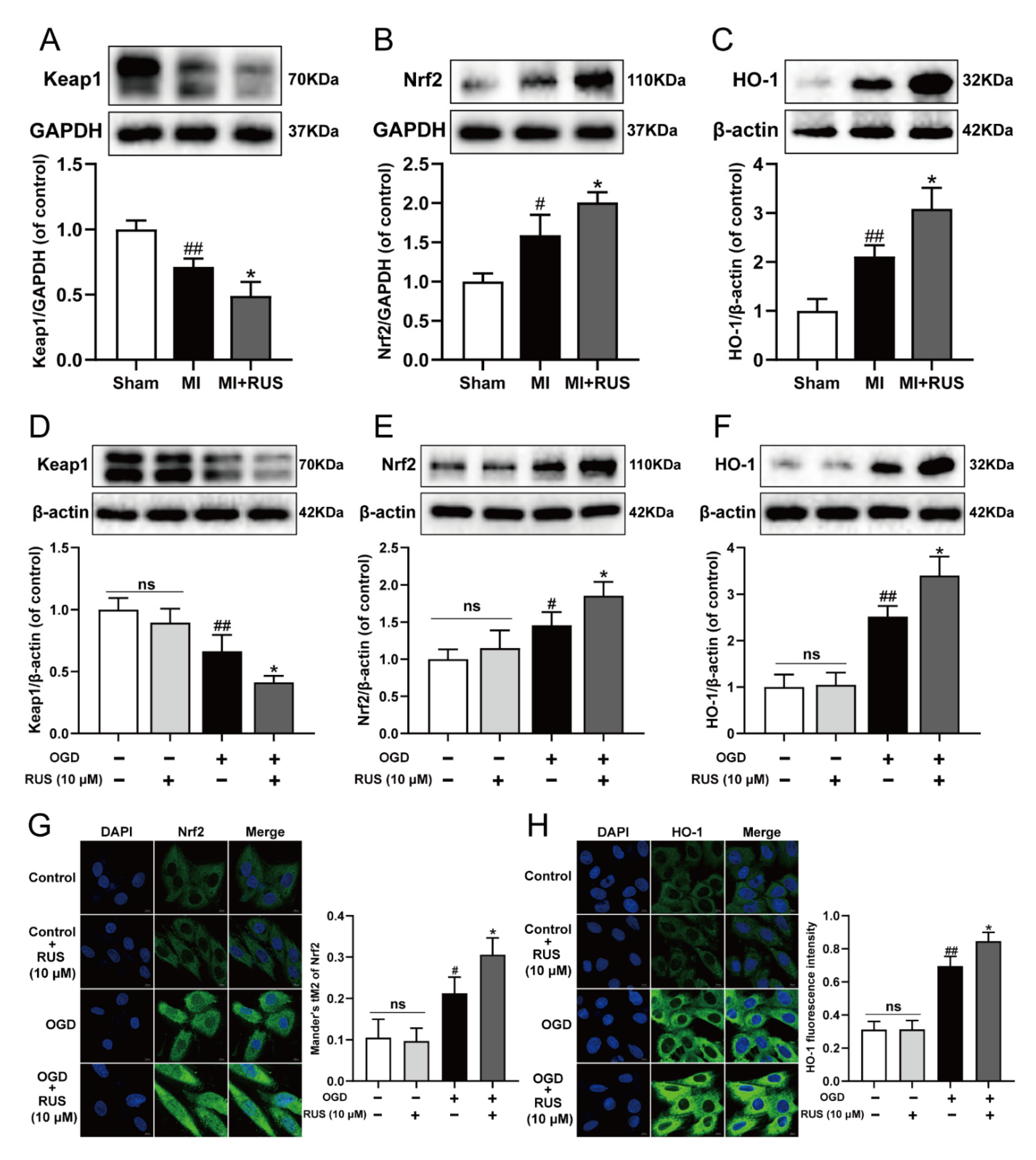Antioxidants 11 00583 g007