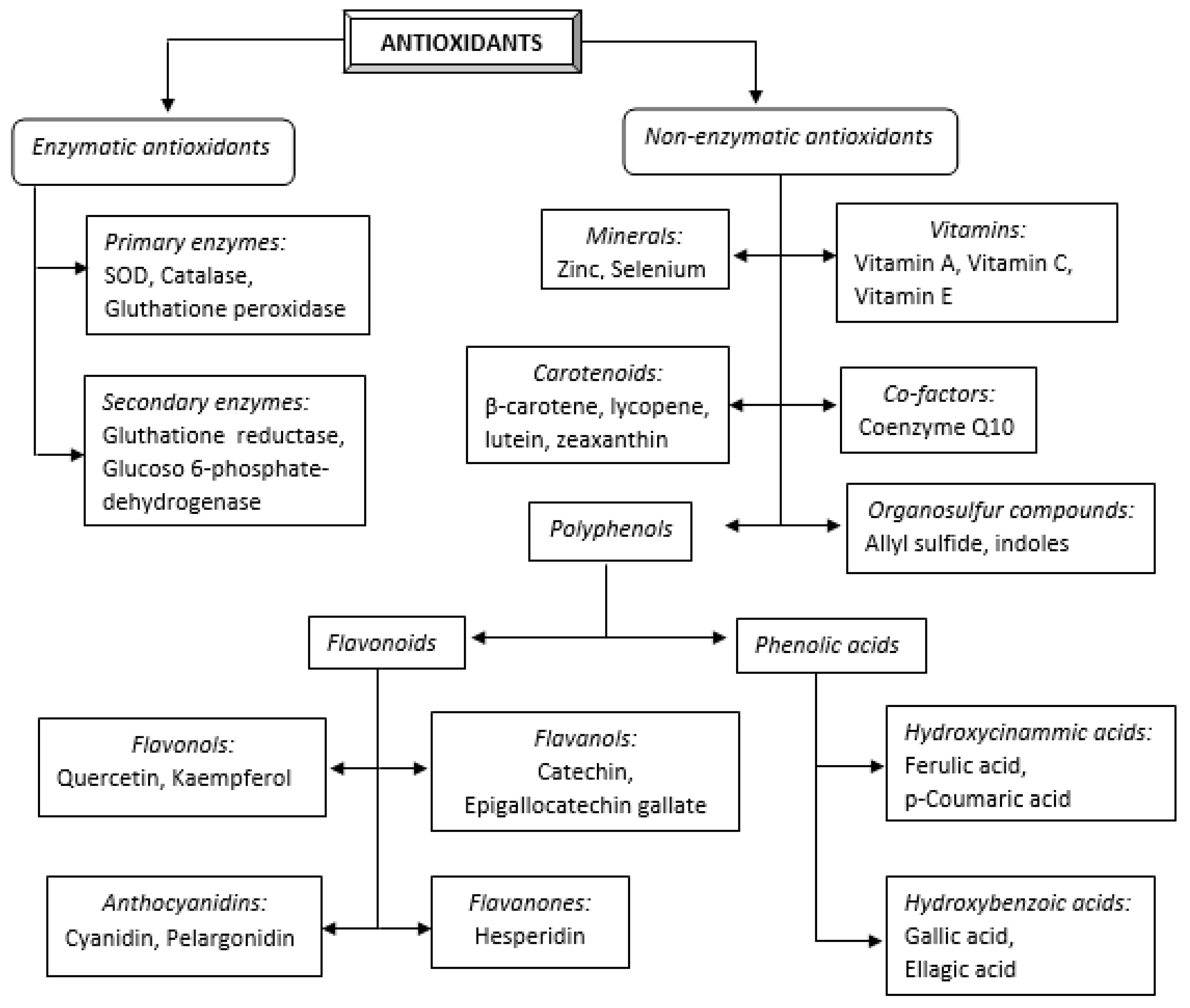 Antioxidants 11 00584 g001
