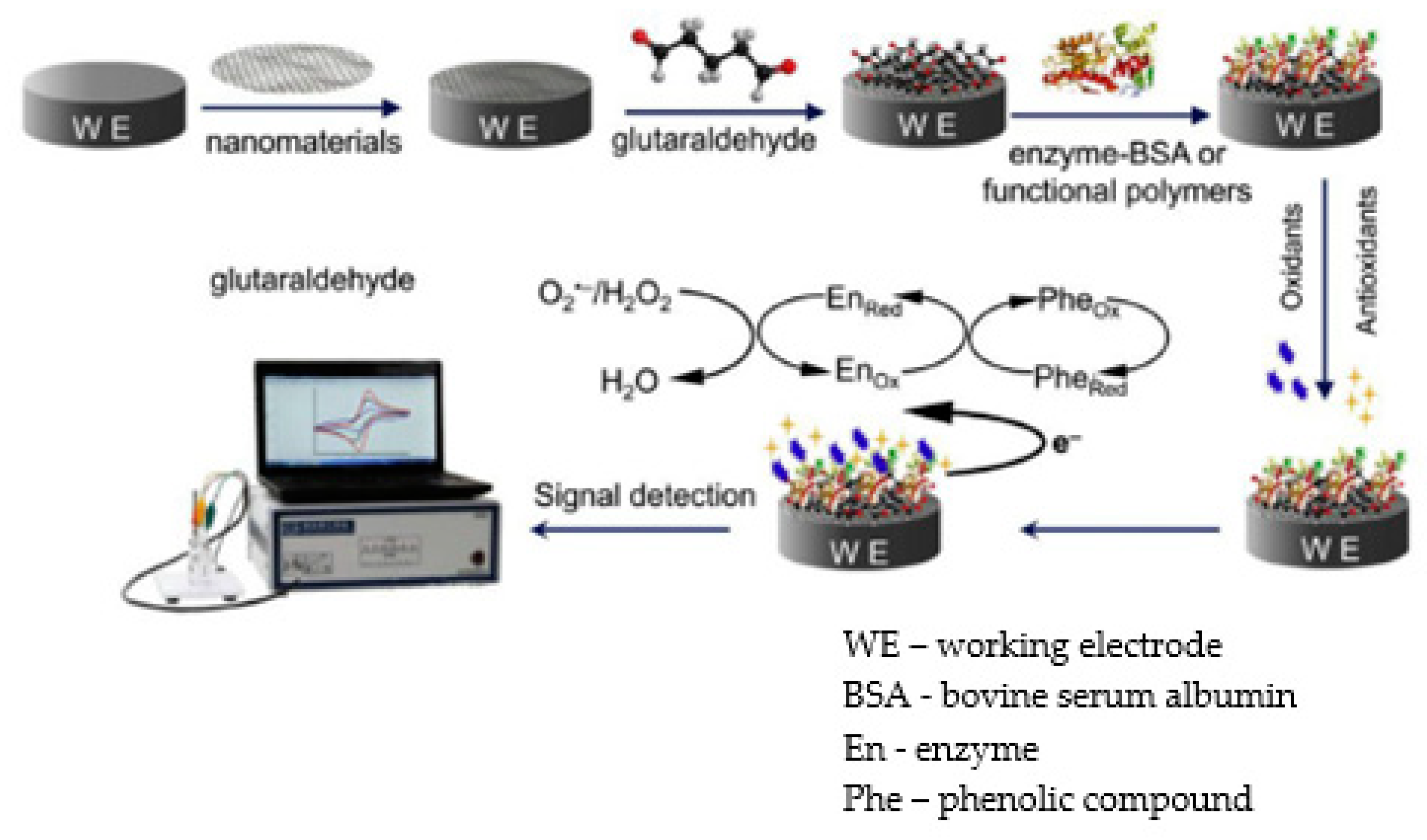 Antioxidants 11 00584 g002