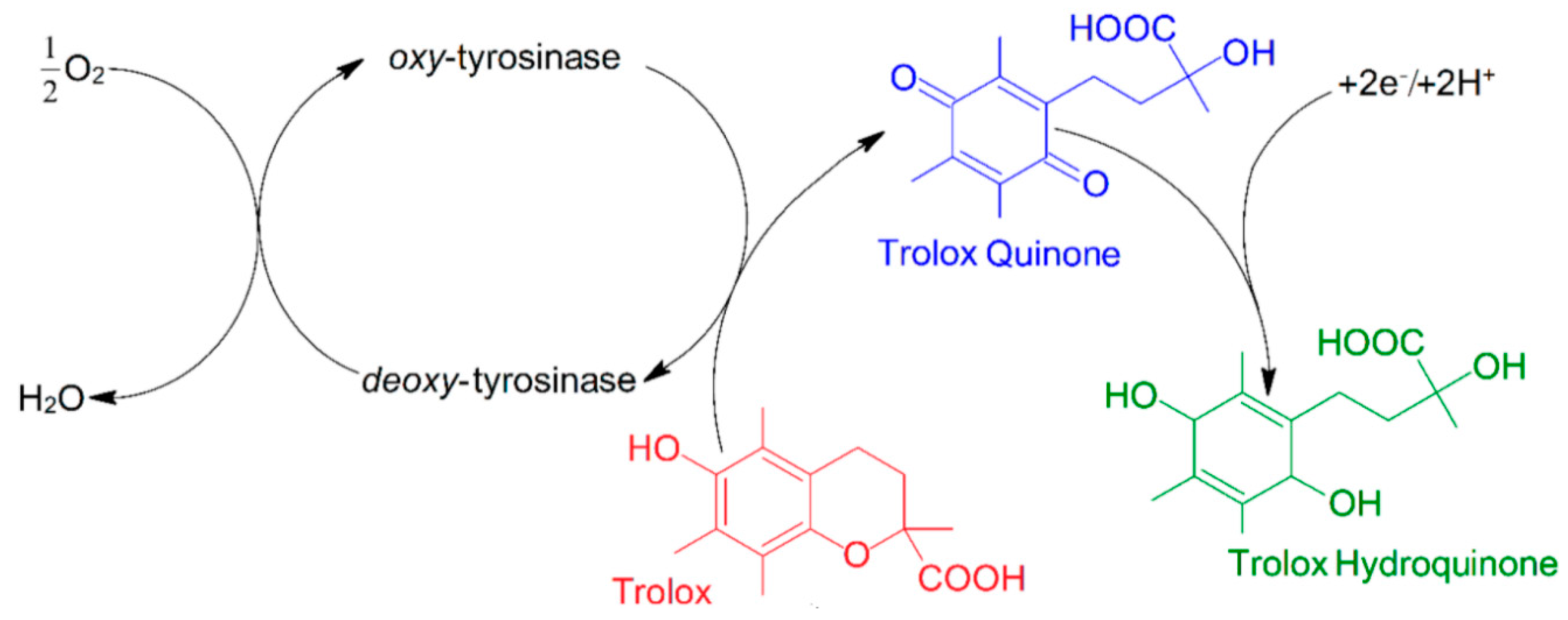 Antioxidants 11 00584 g005