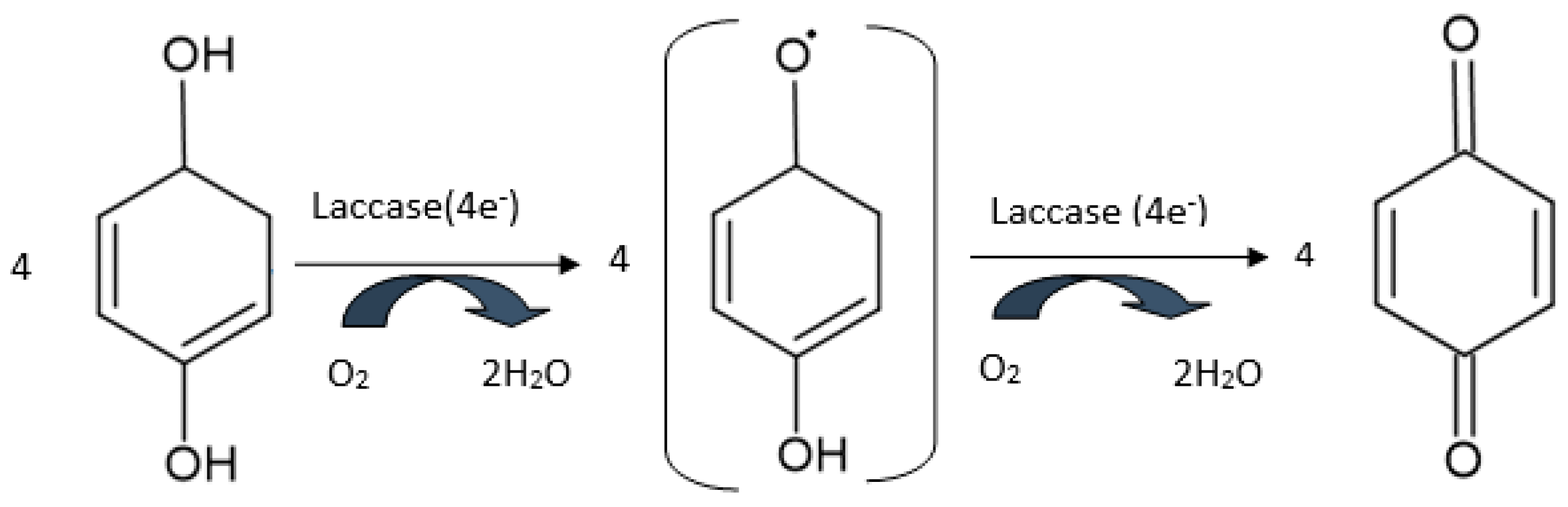 Antioxidants 11 00584 g006