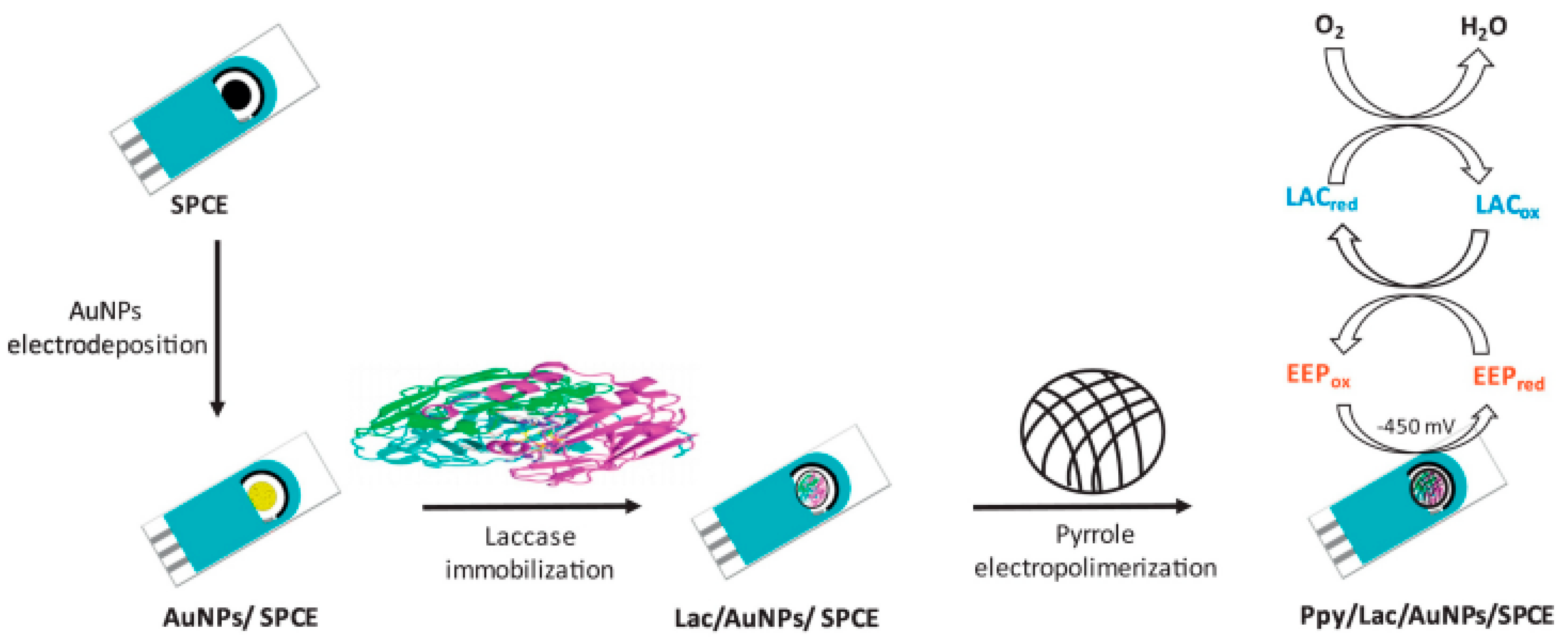 Antioxidants 11 00584 g007