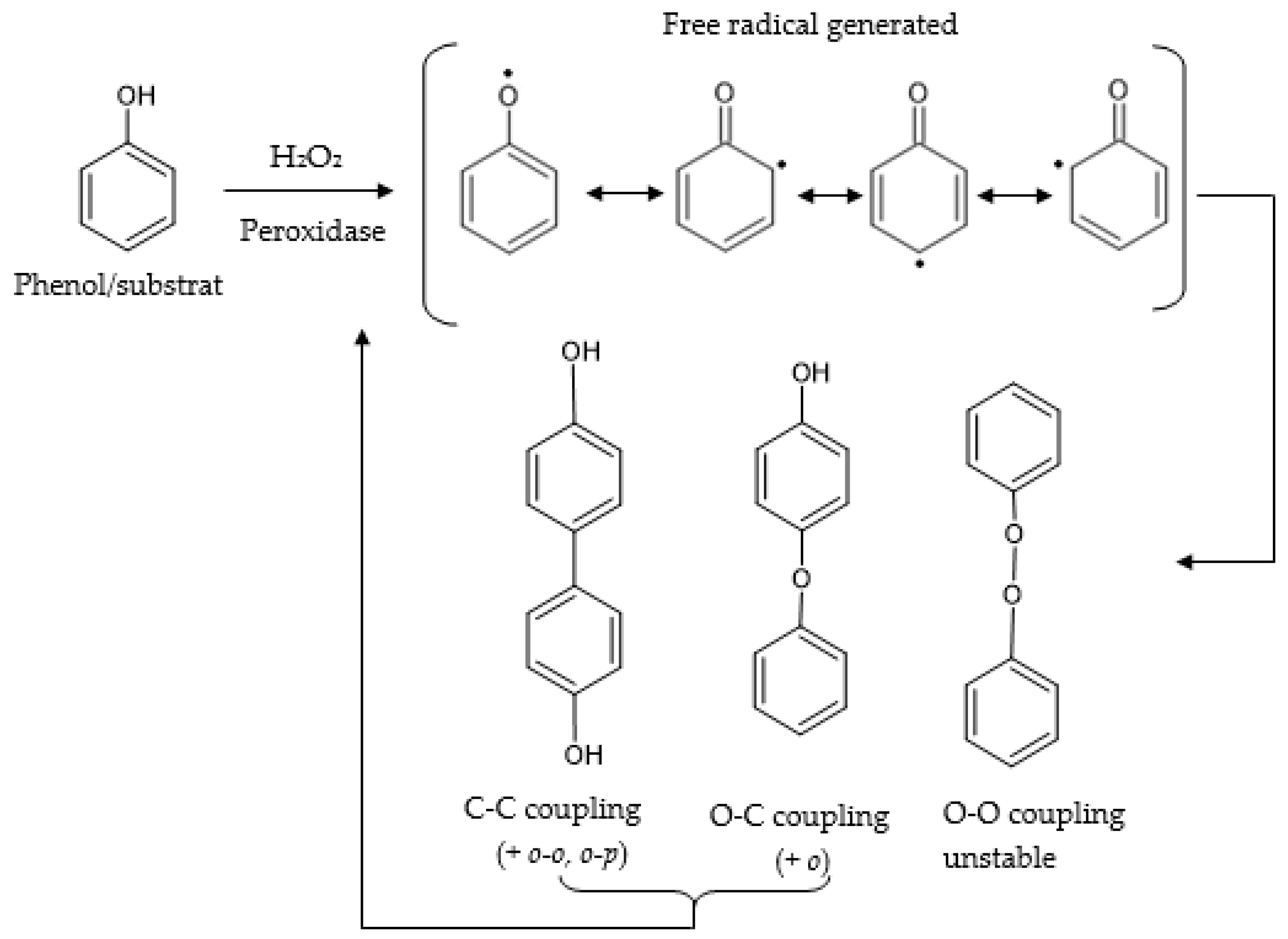 Antioxidants 11 00584 g008