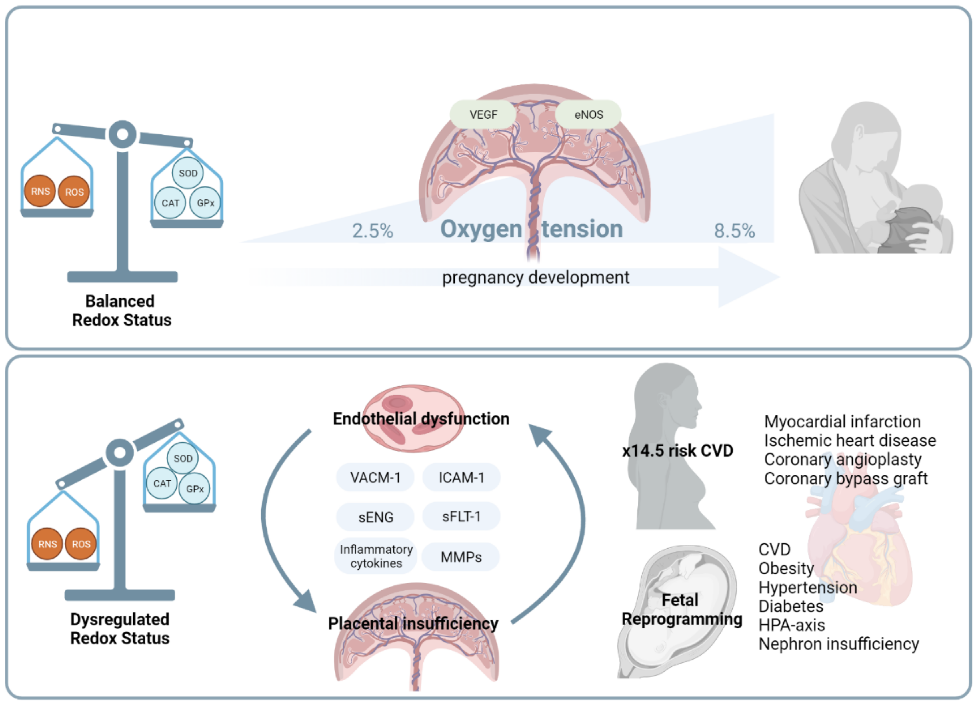 Antioxidants 11 00585 g002 Antioxidants 11 00585 g002