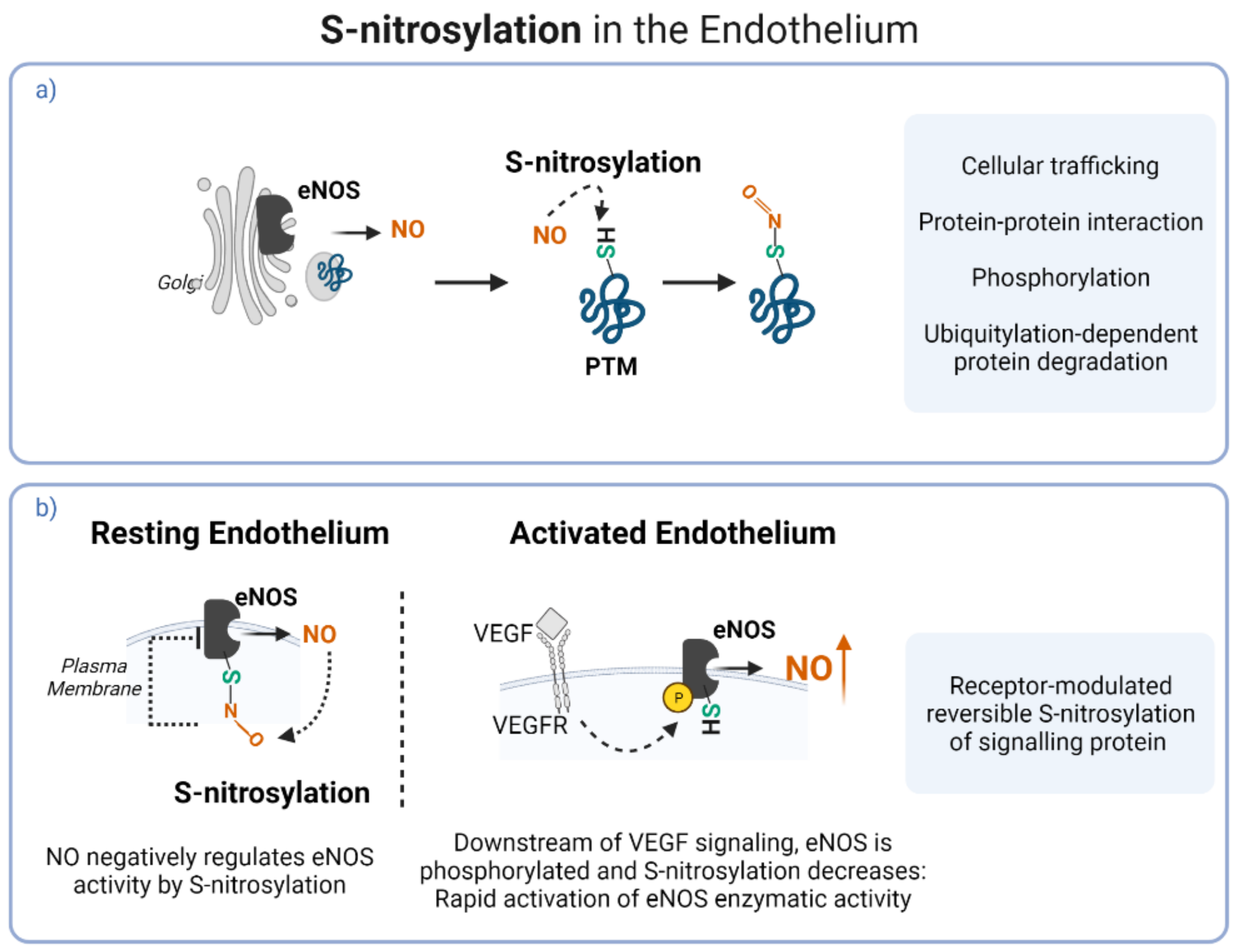 Antioxidants 11 00585 g003 Antioxidants 11 00585 g003