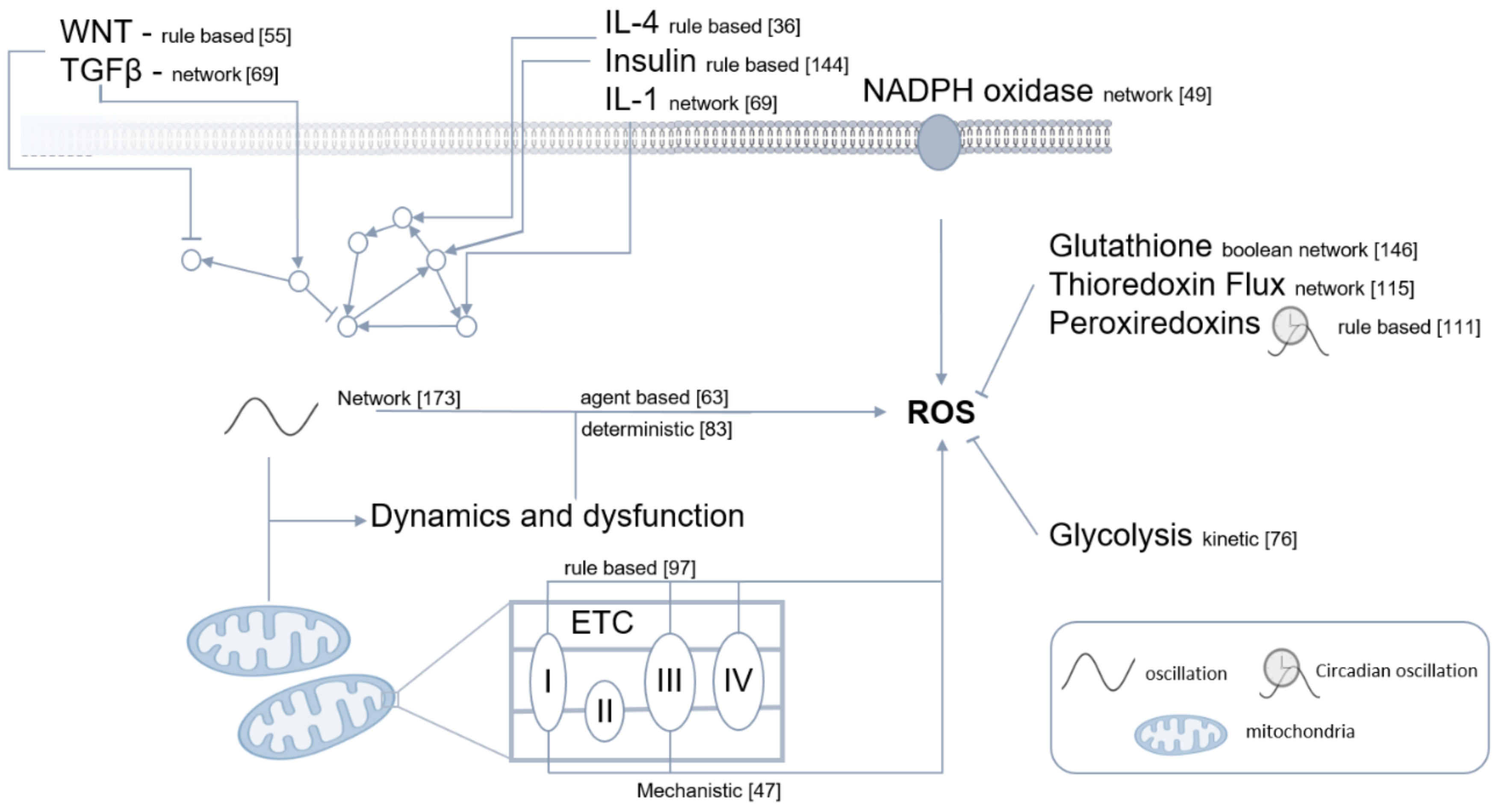 Antioxidants 11 00585 g005 Antioxidants 11 00585 g005