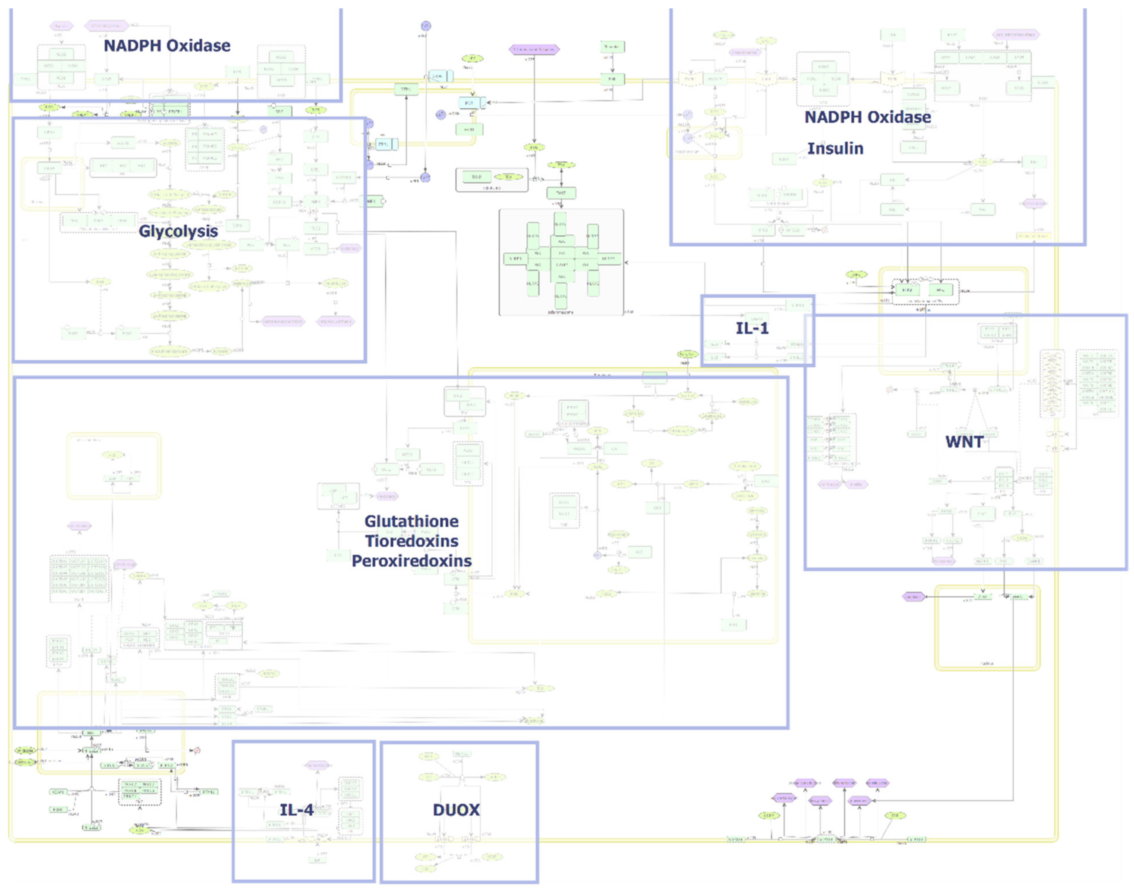 Antioxidants 11 00585 g006 Antioxidants 11 00585 g006