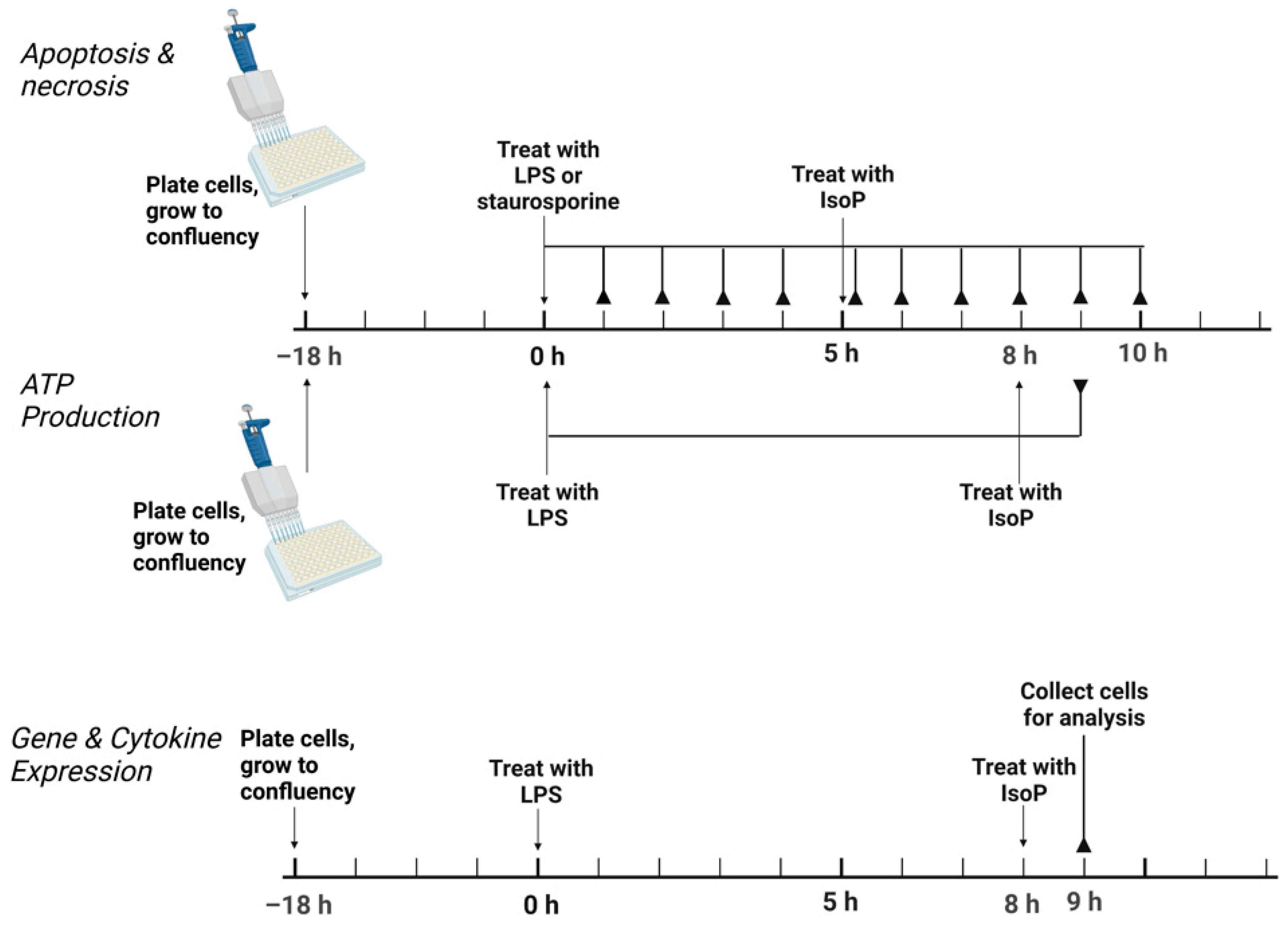 Antioxidants 11 00586 g001