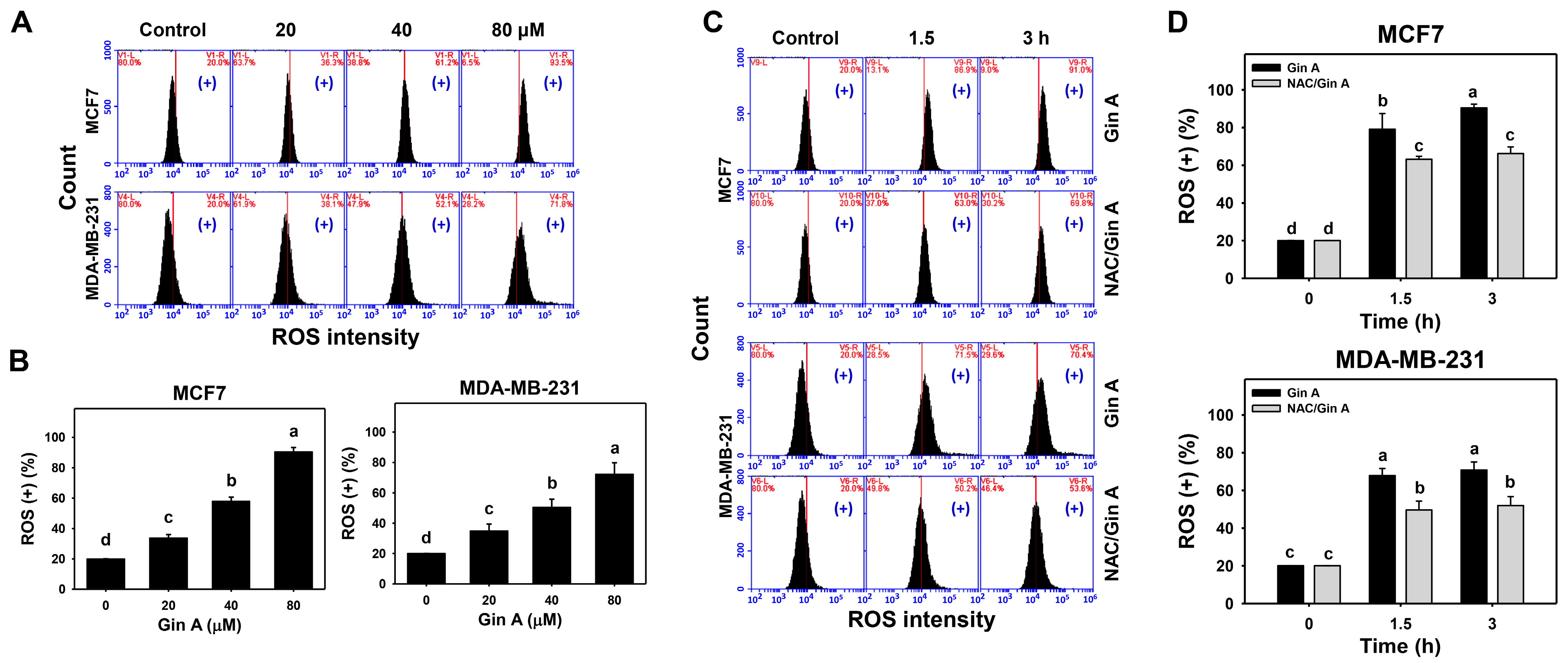 Antioxidants 11 00587 g003