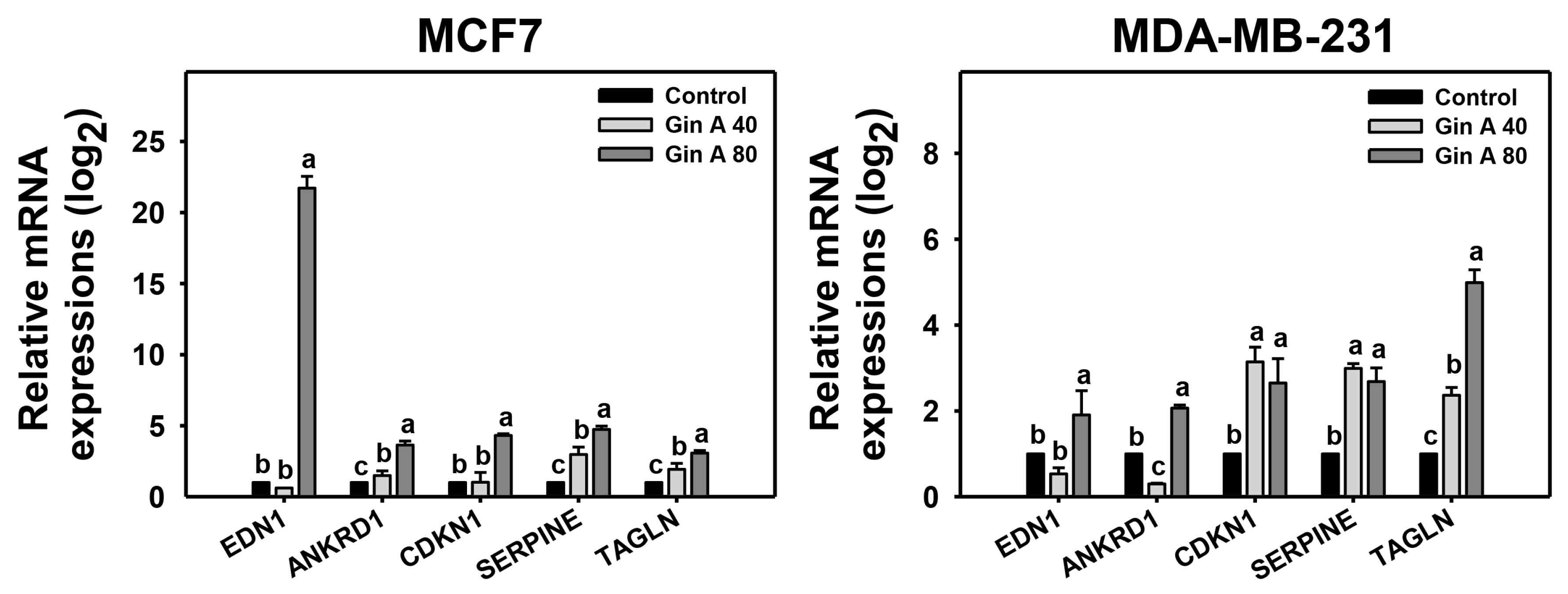 Antioxidants 11 00587 g006