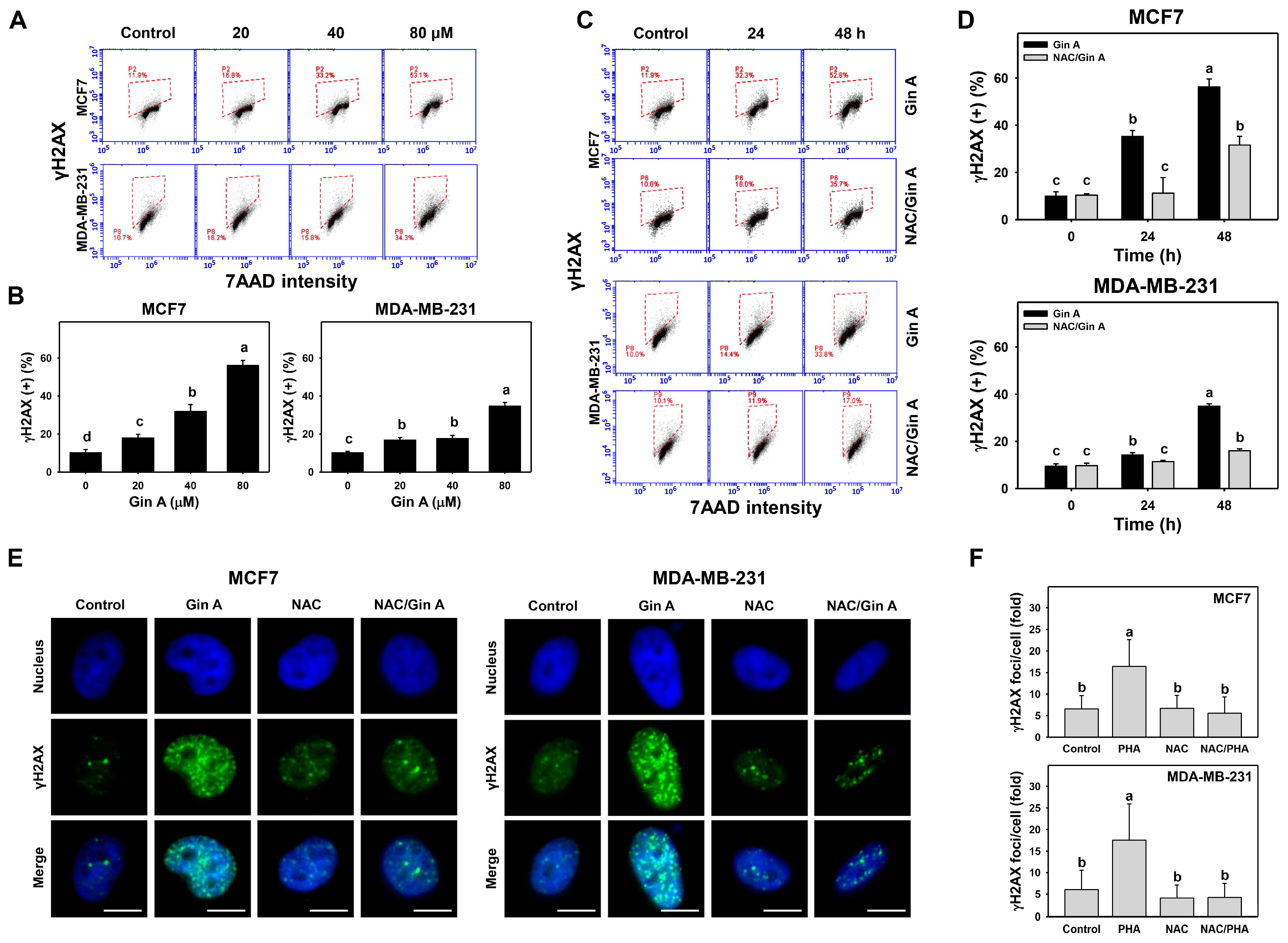 Antioxidants 11 00587 g007