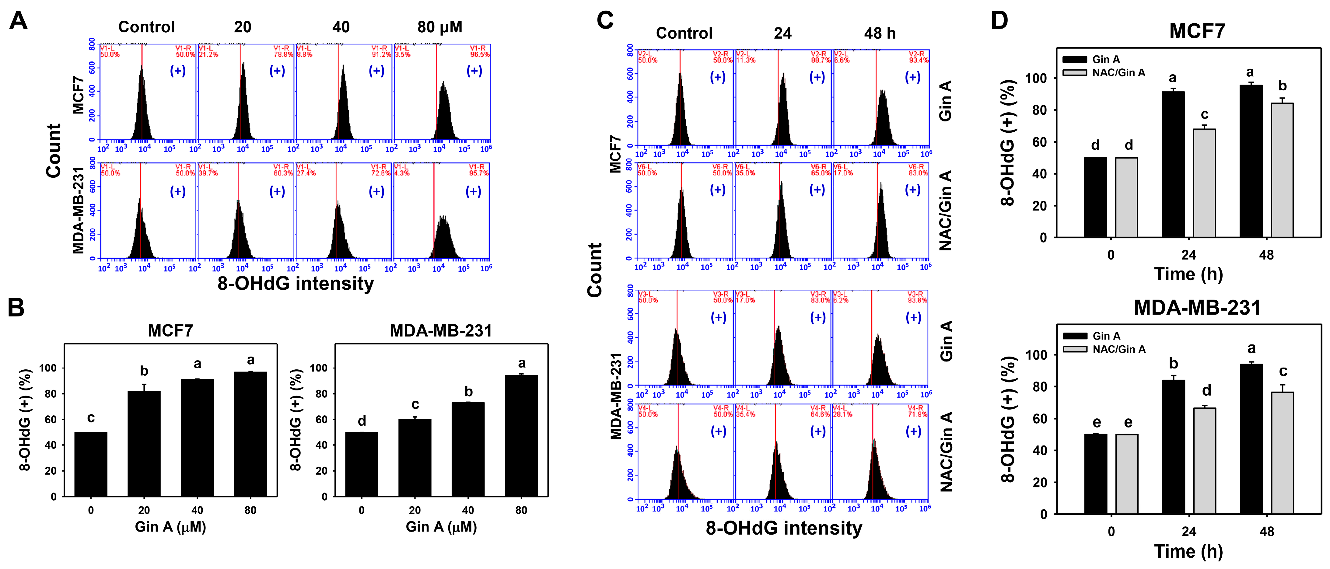 Antioxidants 11 00587 g008