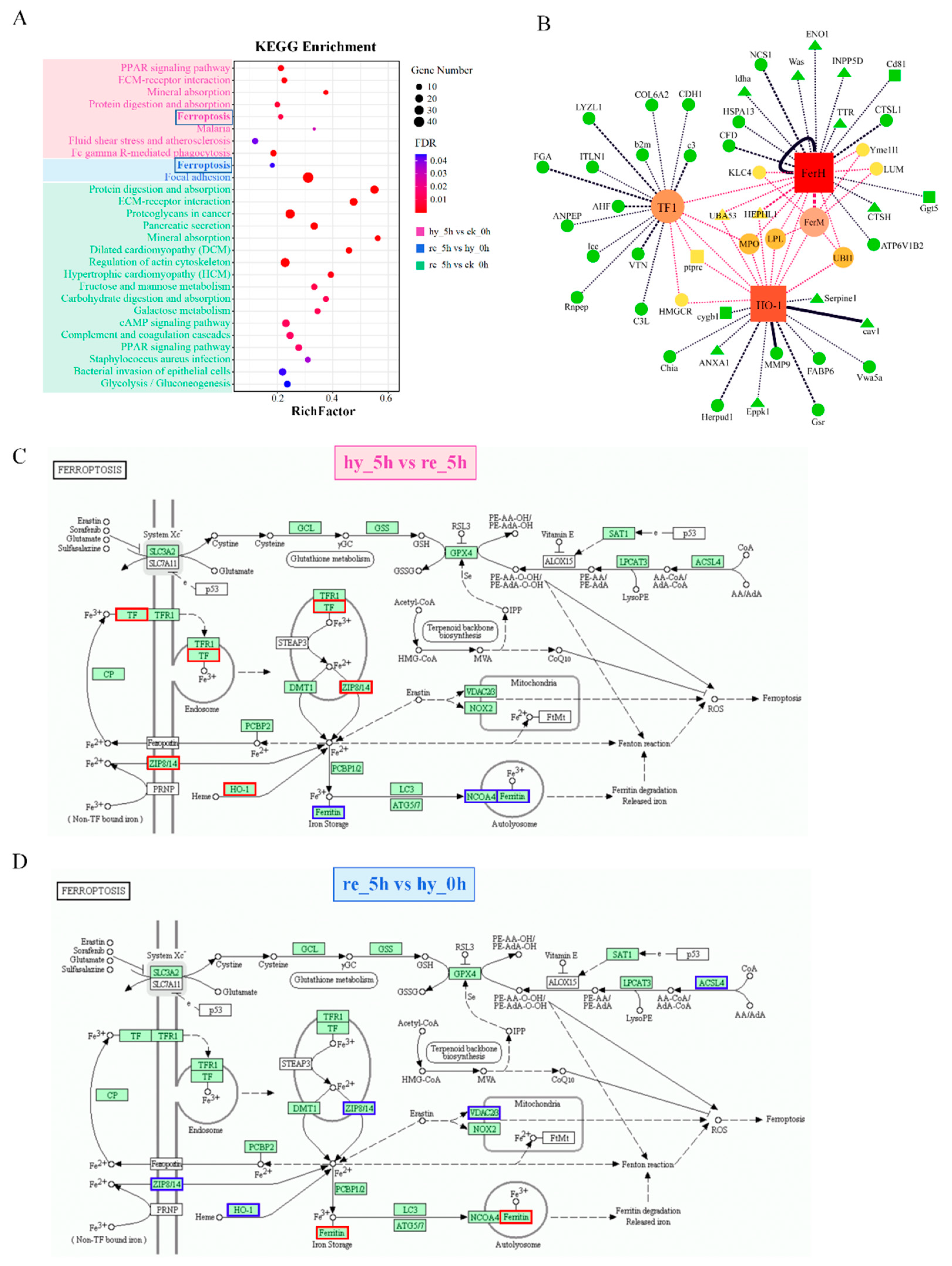 Antioxidants 11 00589 g004