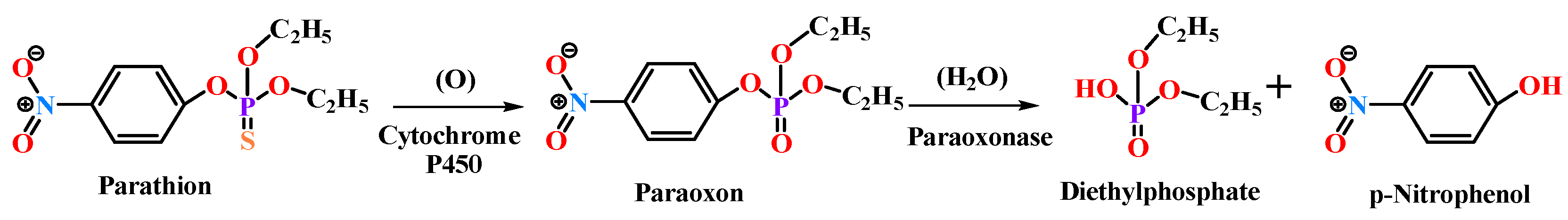 Antioxidants 11 00590 g002
