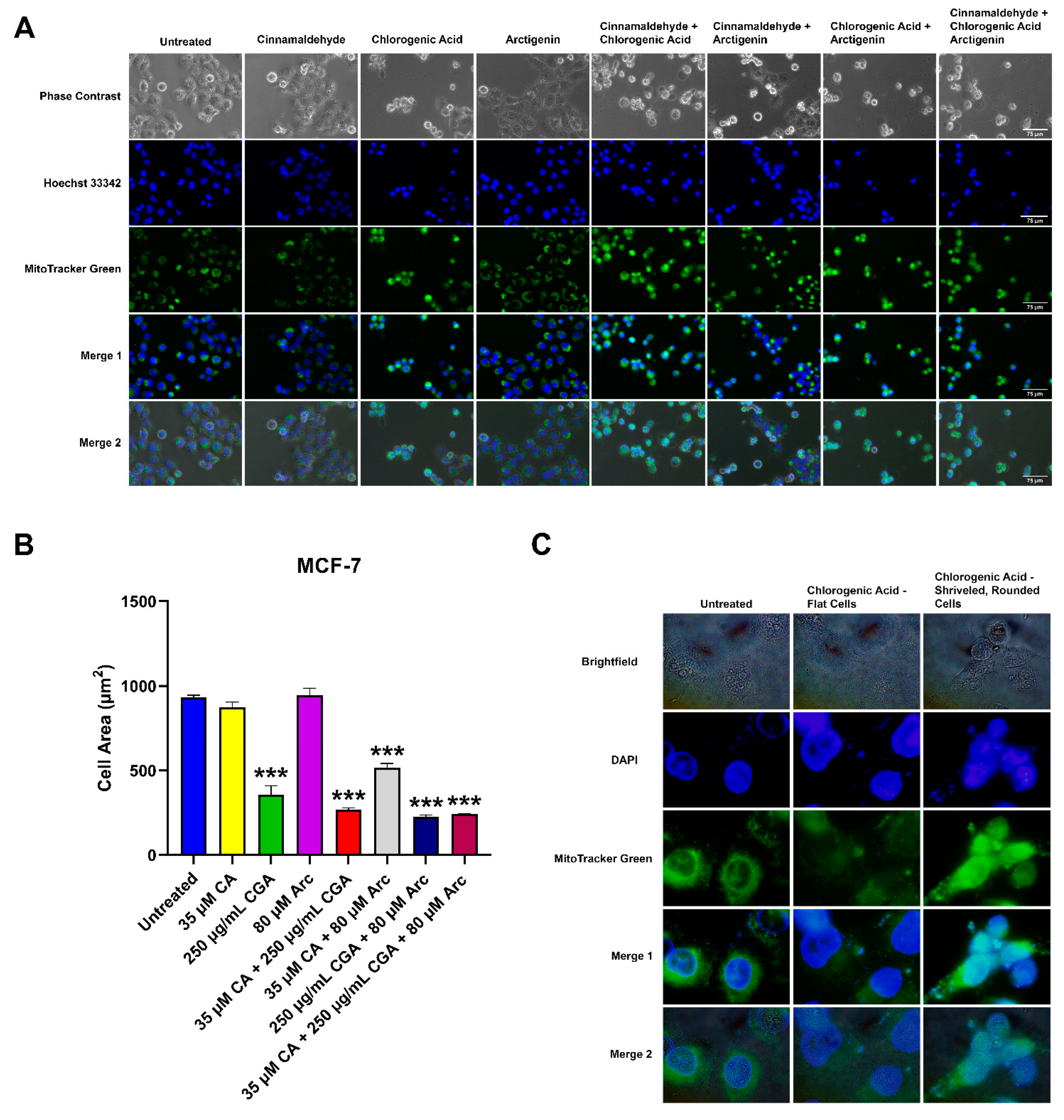 Antioxidants 11 00591 g008
