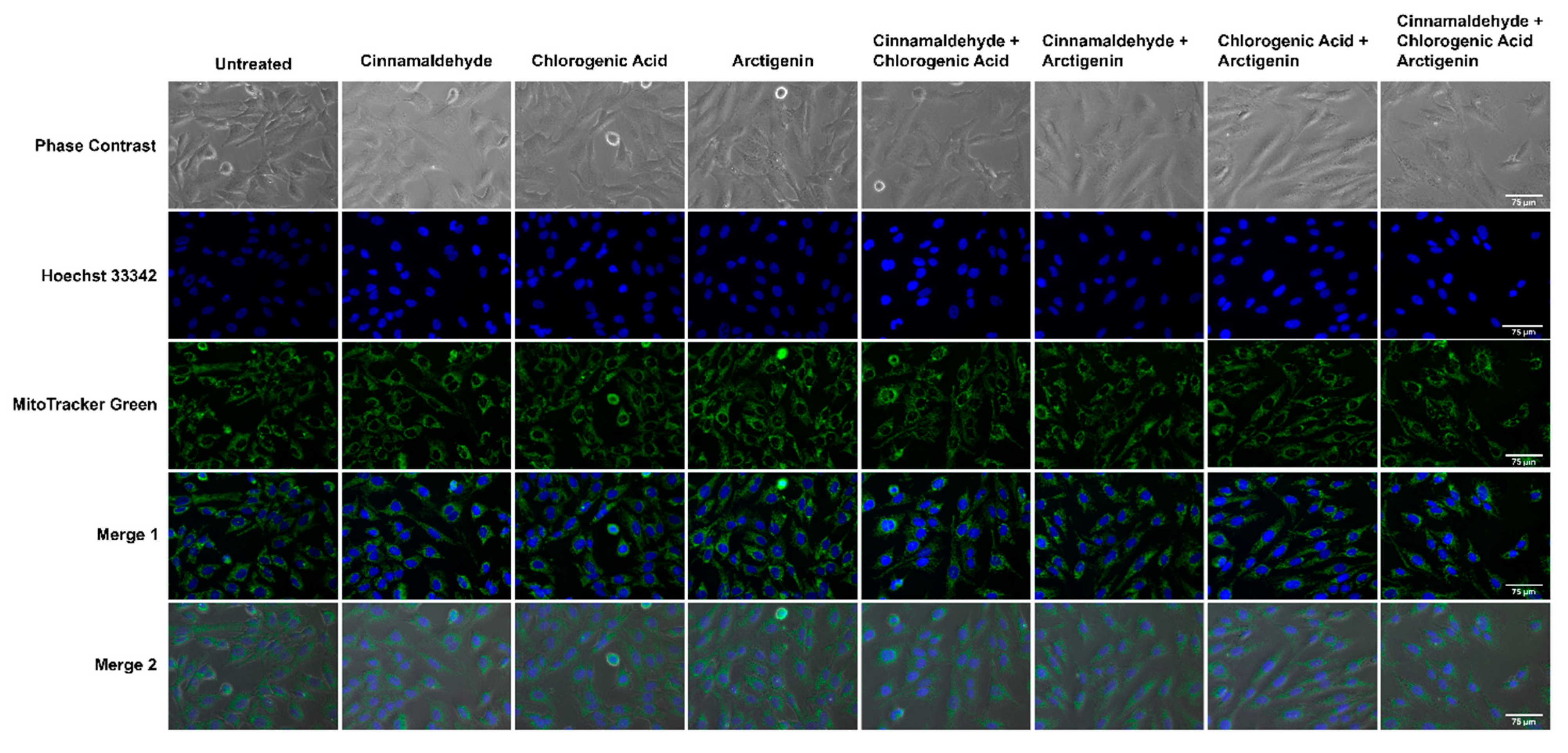 Antioxidants 11 00591 g009
