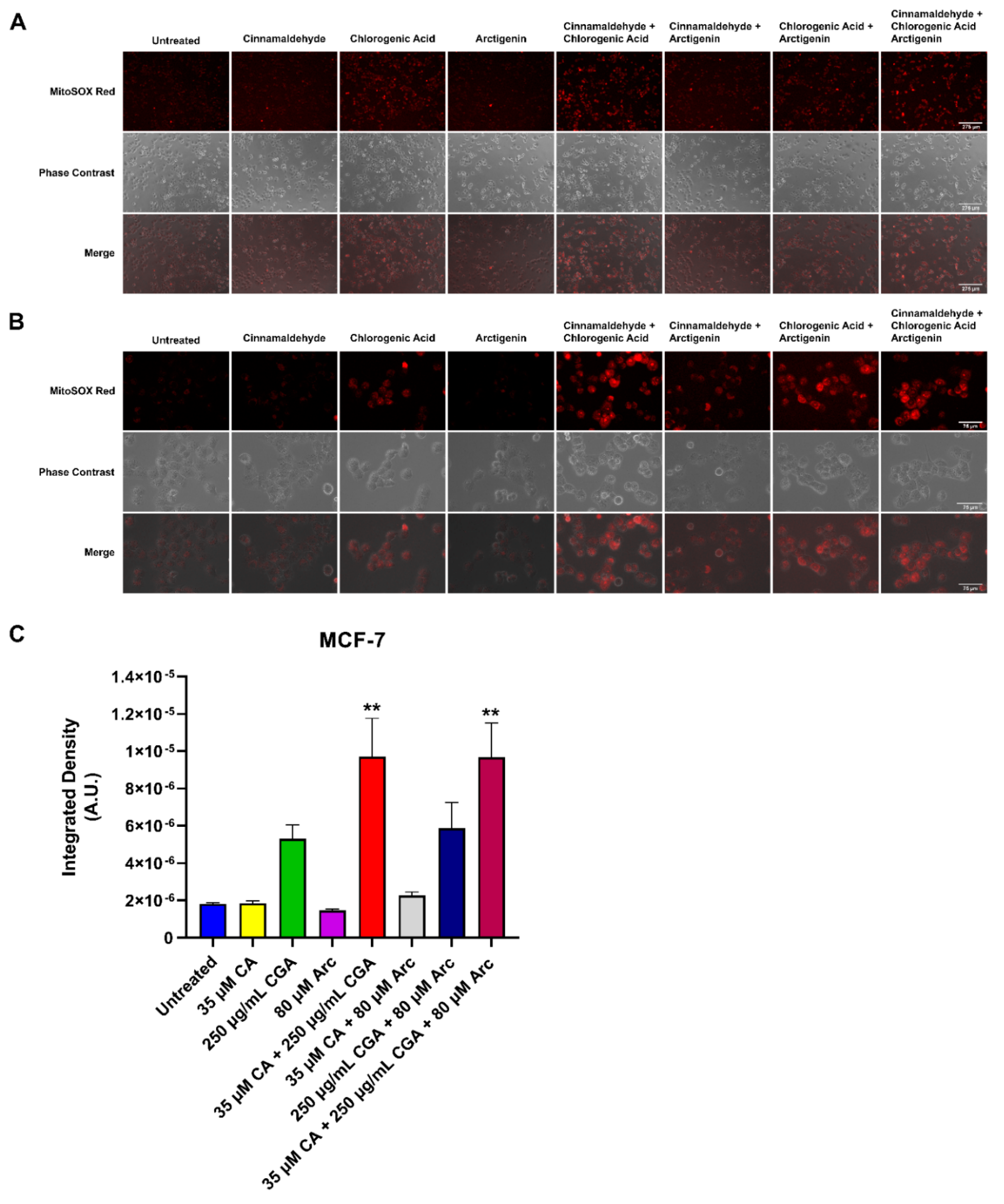 Antioxidants 11 00591 g010