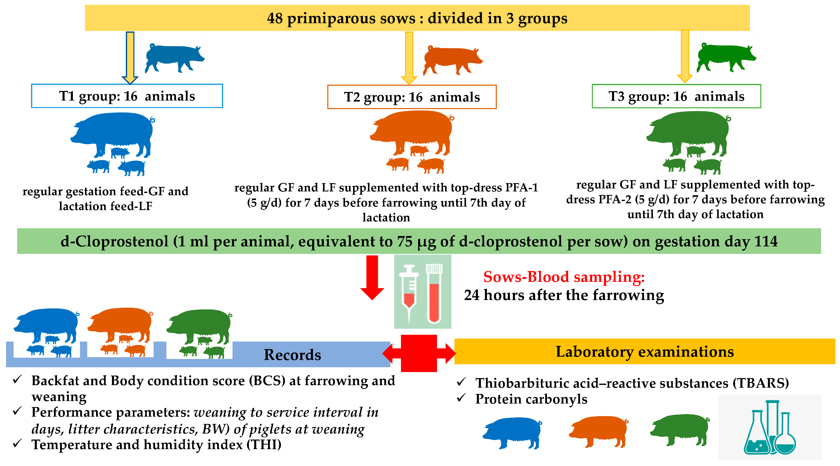 Antioxidants 11 00593 g001