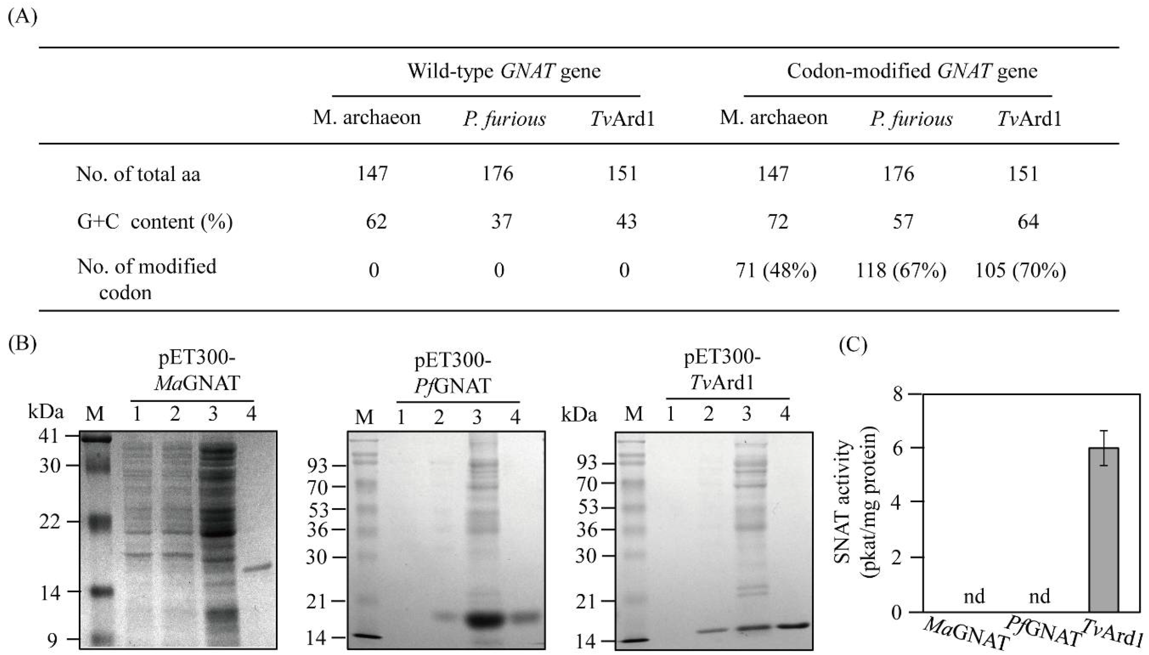 Antioxidants 11 00596 g001