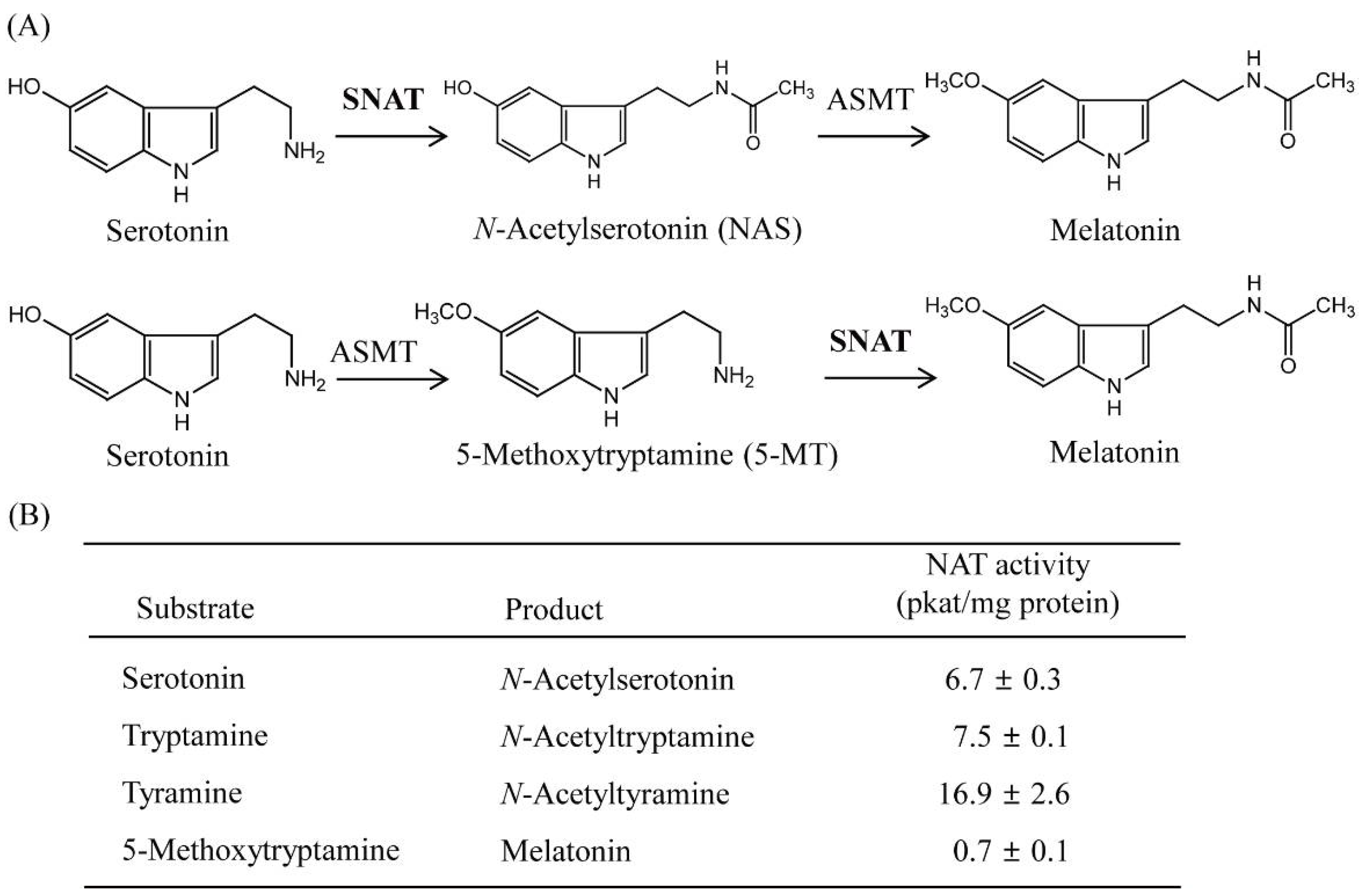 Antioxidants 11 00596 g003