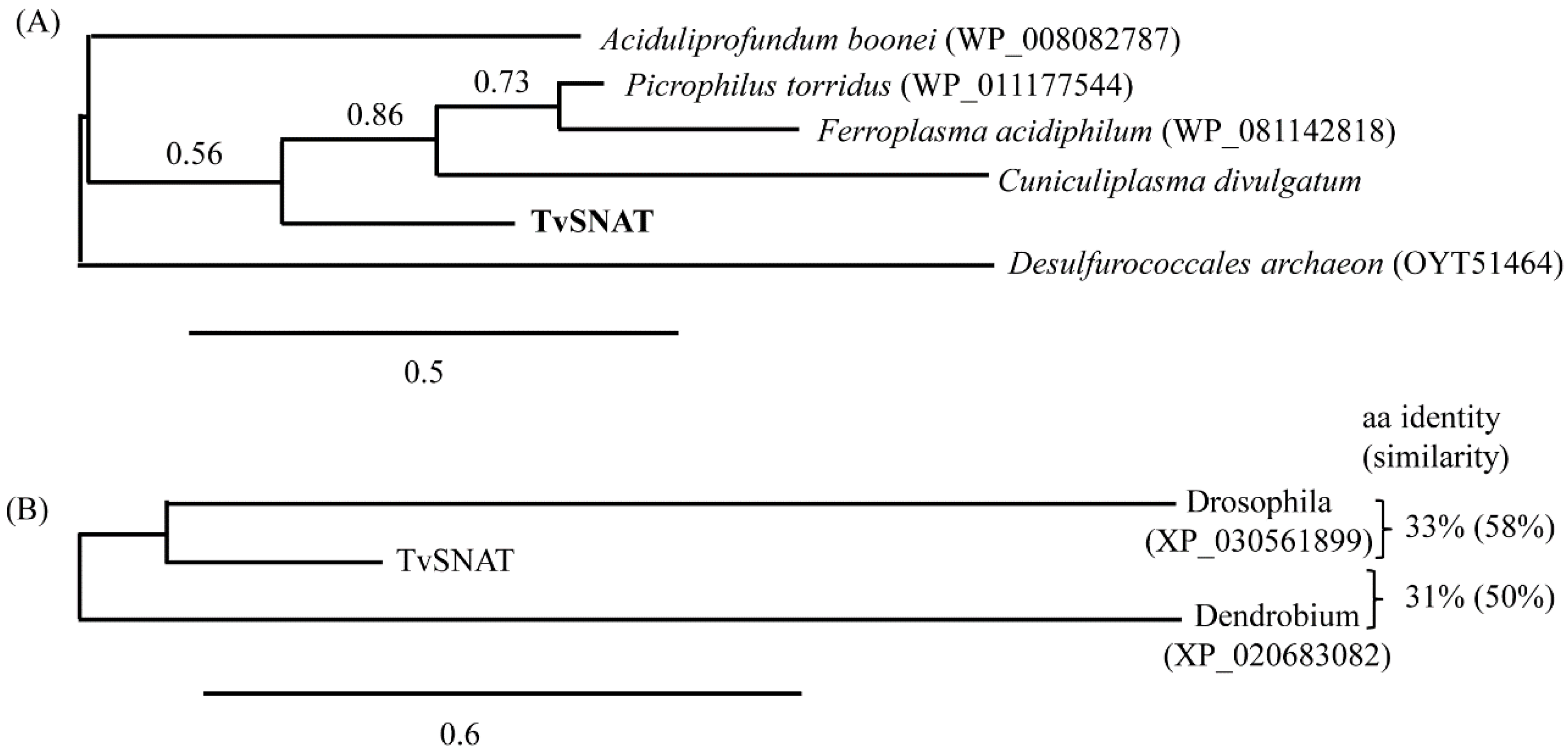 Antioxidants 11 00596 g005
