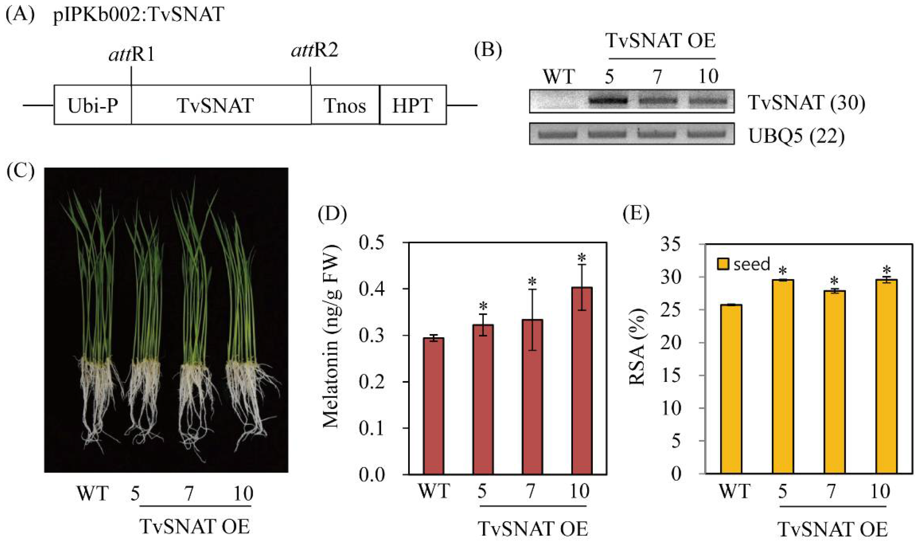 Antioxidants 11 00596 g006