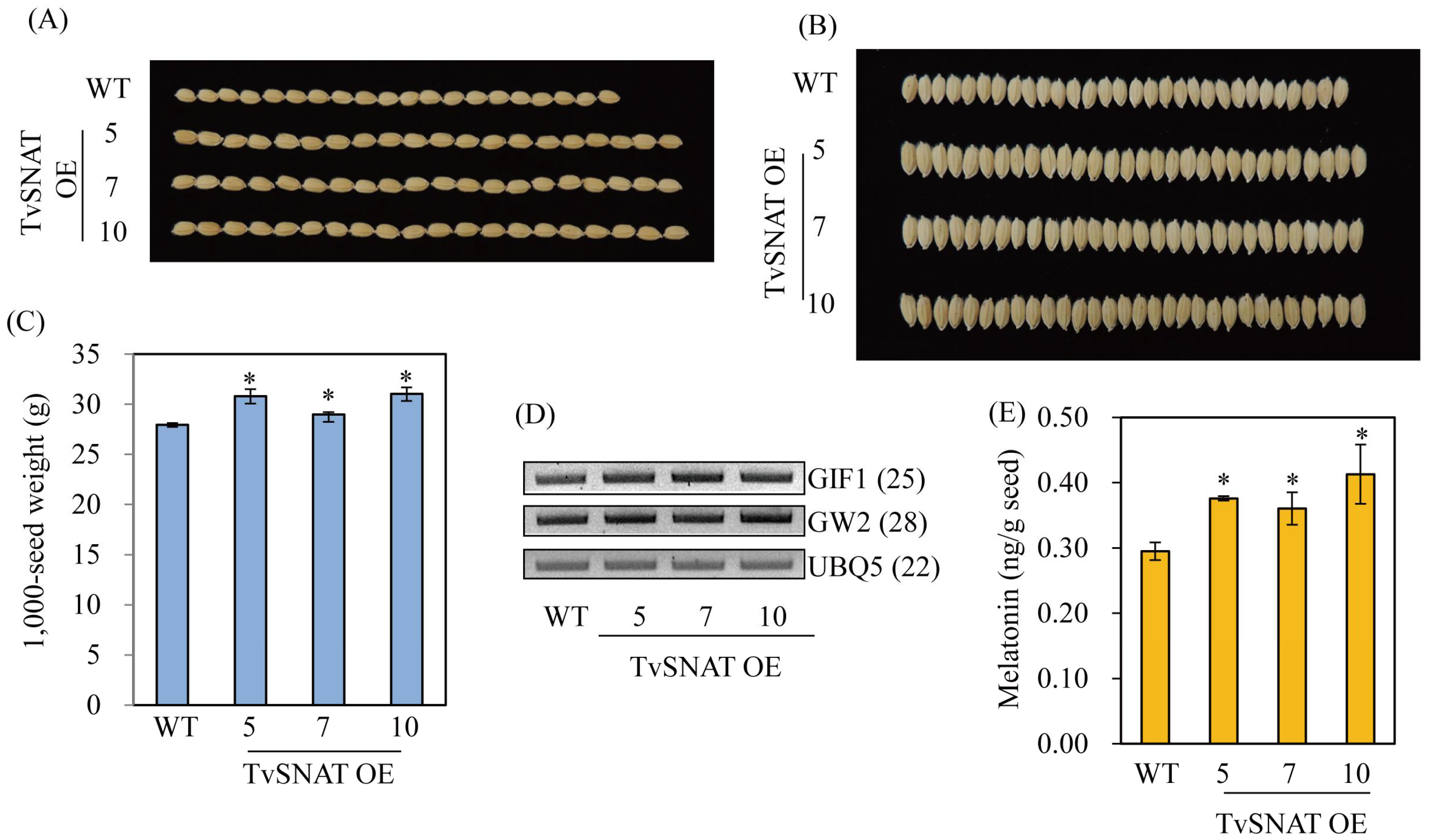Antioxidants 11 00596 g007