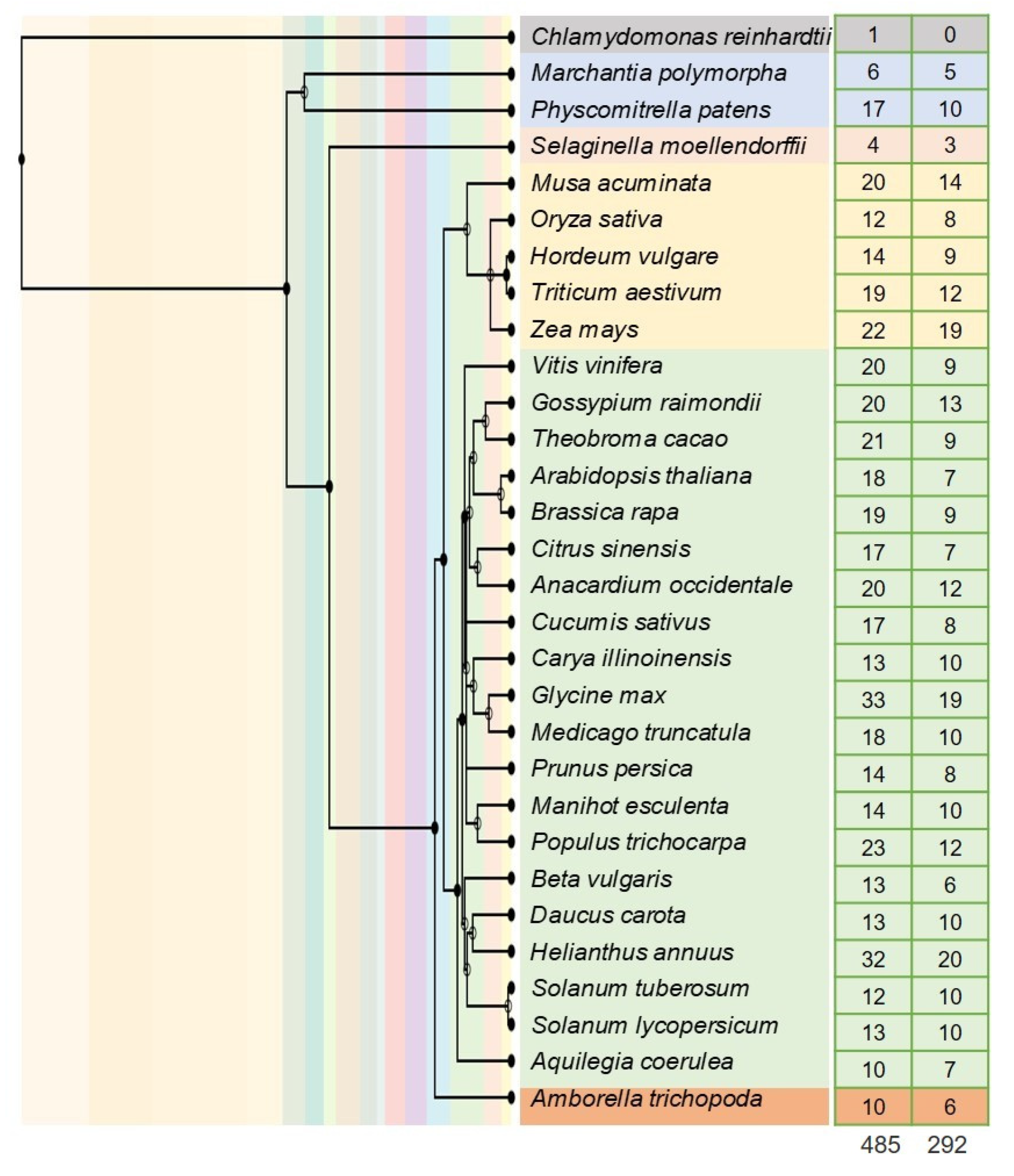 Antioxidants 11 00598 g001
