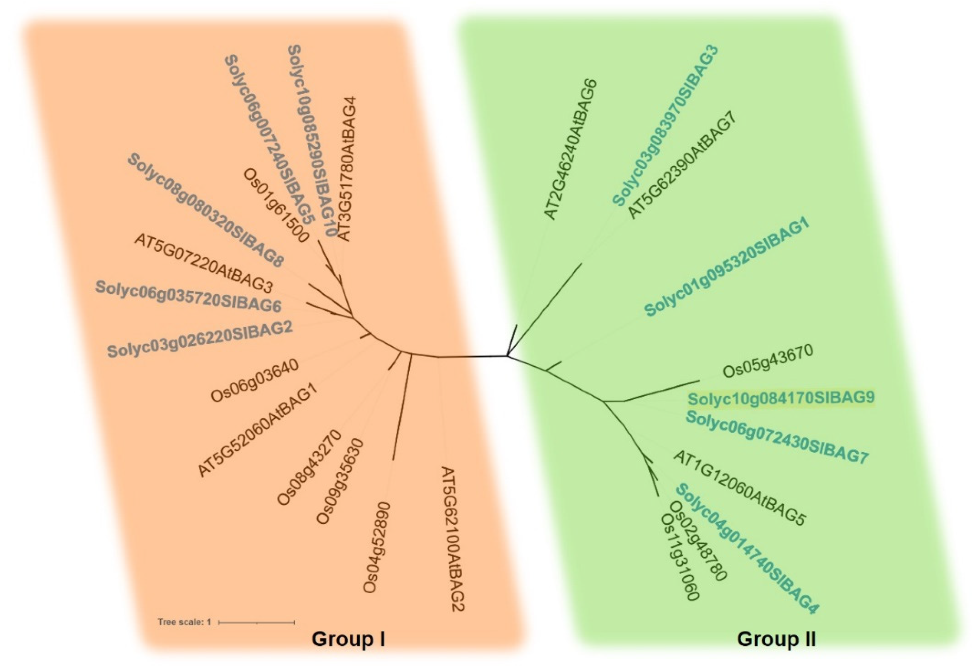 Antioxidants 11 00598 g002